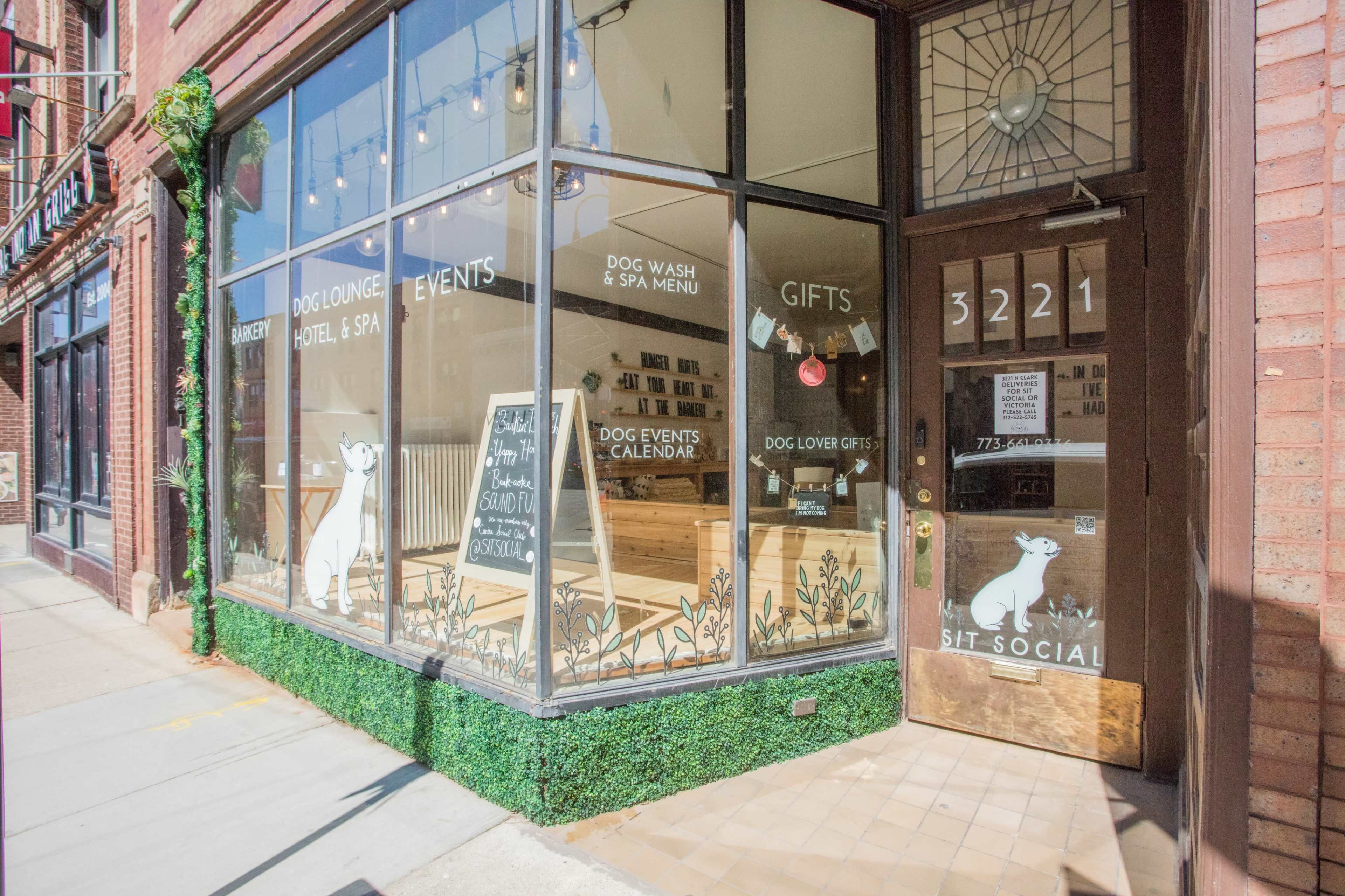 The entrance of a dog-focused business called "Sit Social," featuring large windows with various offerings displayed, including a dog wash and spa menu, alongside a green planted area at the base of the window.