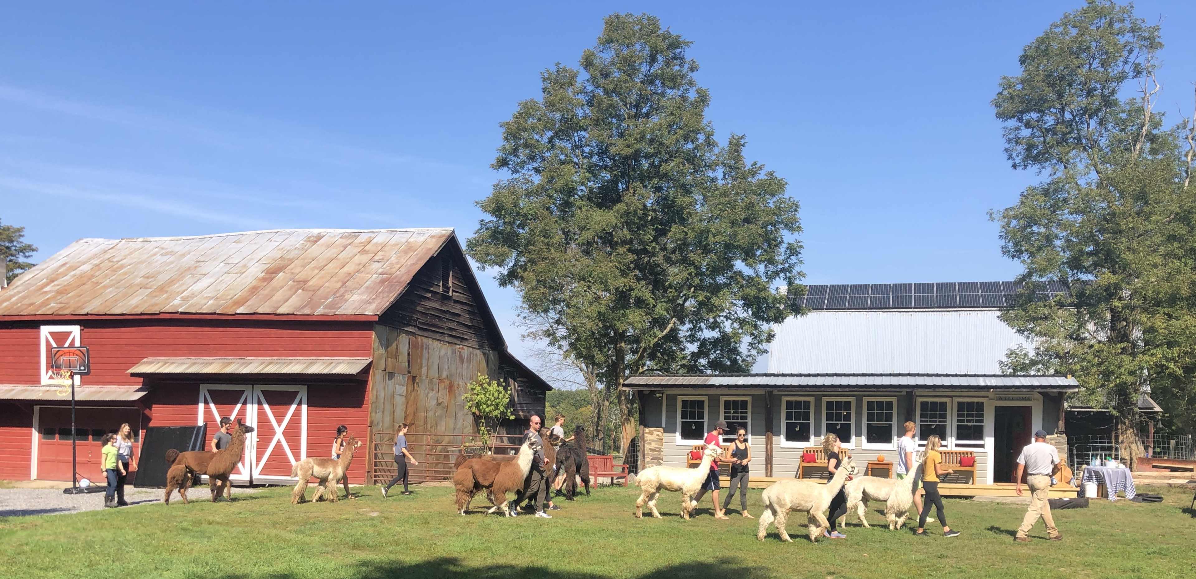 Rustic Charm on 1850 Homestead Farm in Hudson Valley Image in Pleasant Valley, Hyde Park, NY