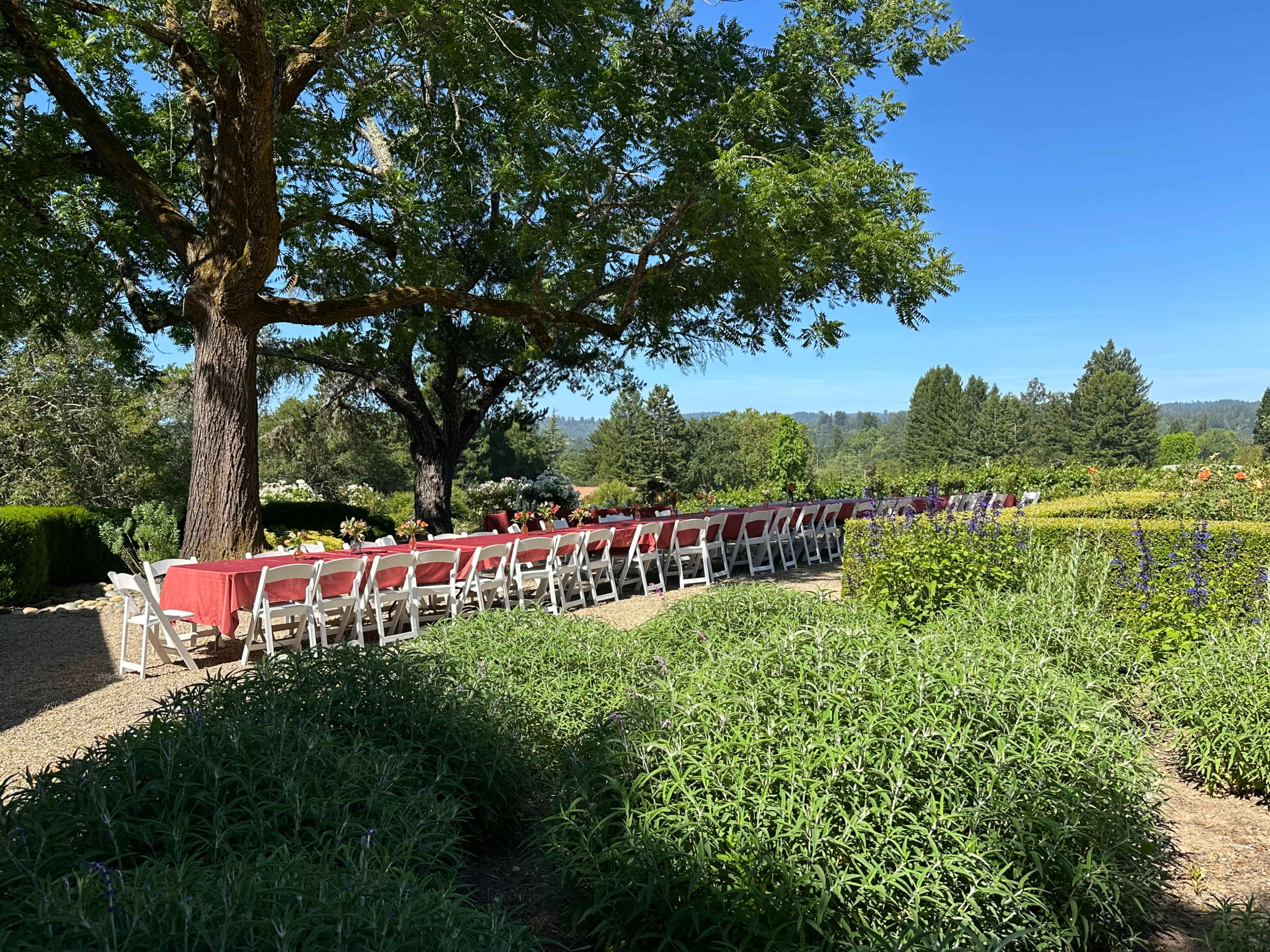 Stunning Boutique Vineyard Estate for Workshops, Retreats, Photoshoots, Off-Sites & Gatherings Image in , Sebastopol, CA