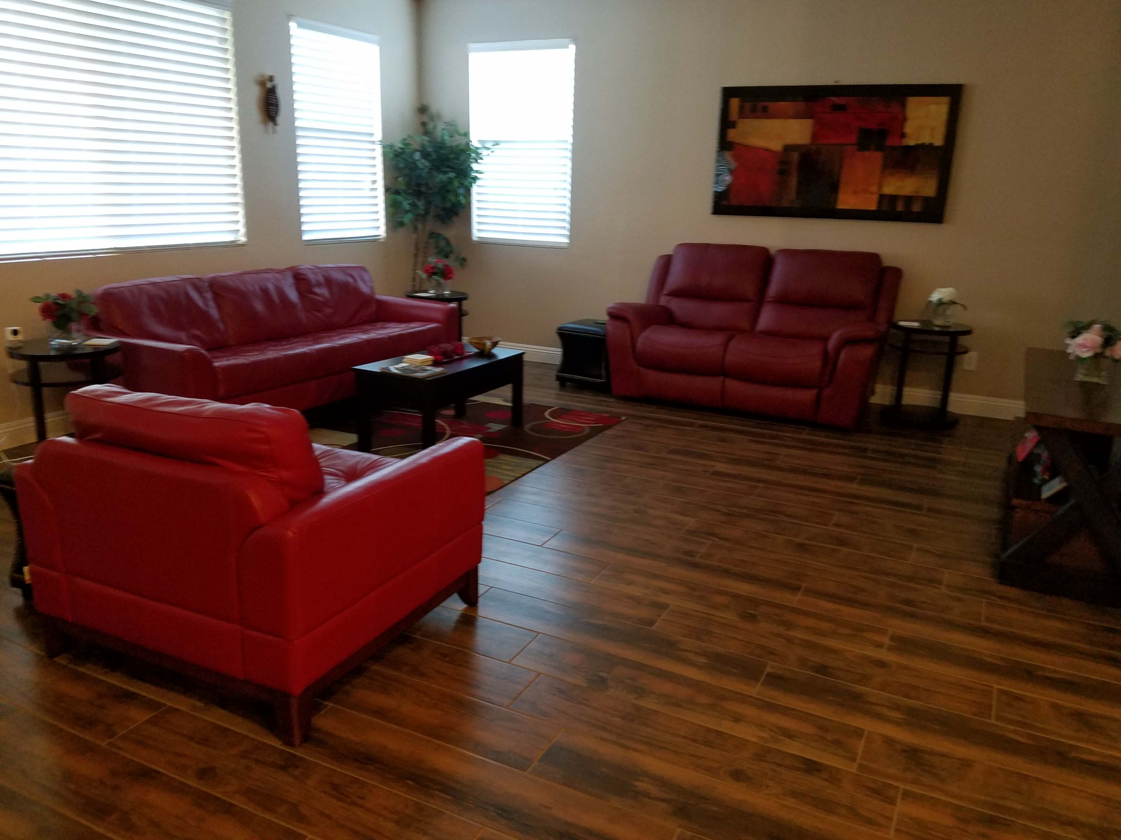 A living room with red leather furniture, including two sofas and a chair, situated on a wooden floor with decorative plants and a wall art piece.