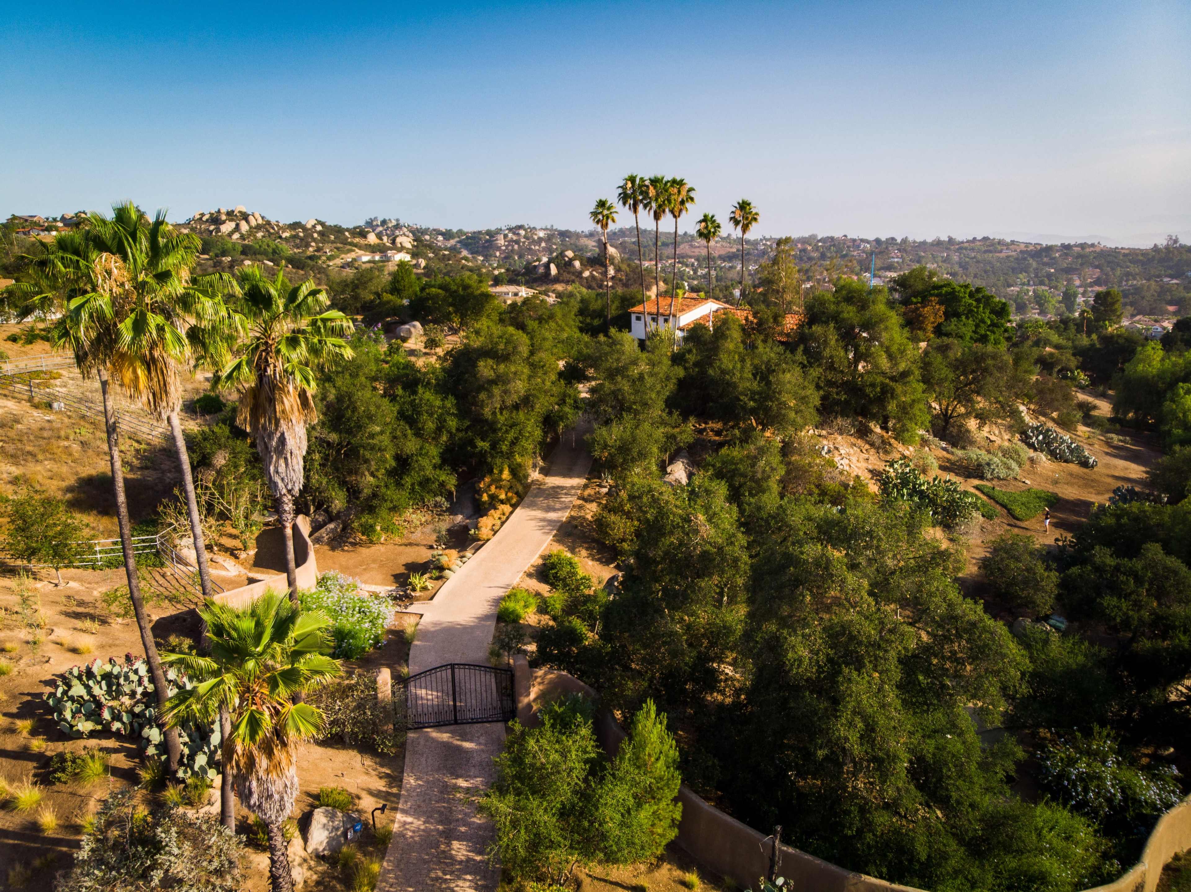 A landscape with palm trees and a winding path leading to a house, surrounded by rolling hills and vegetation.
