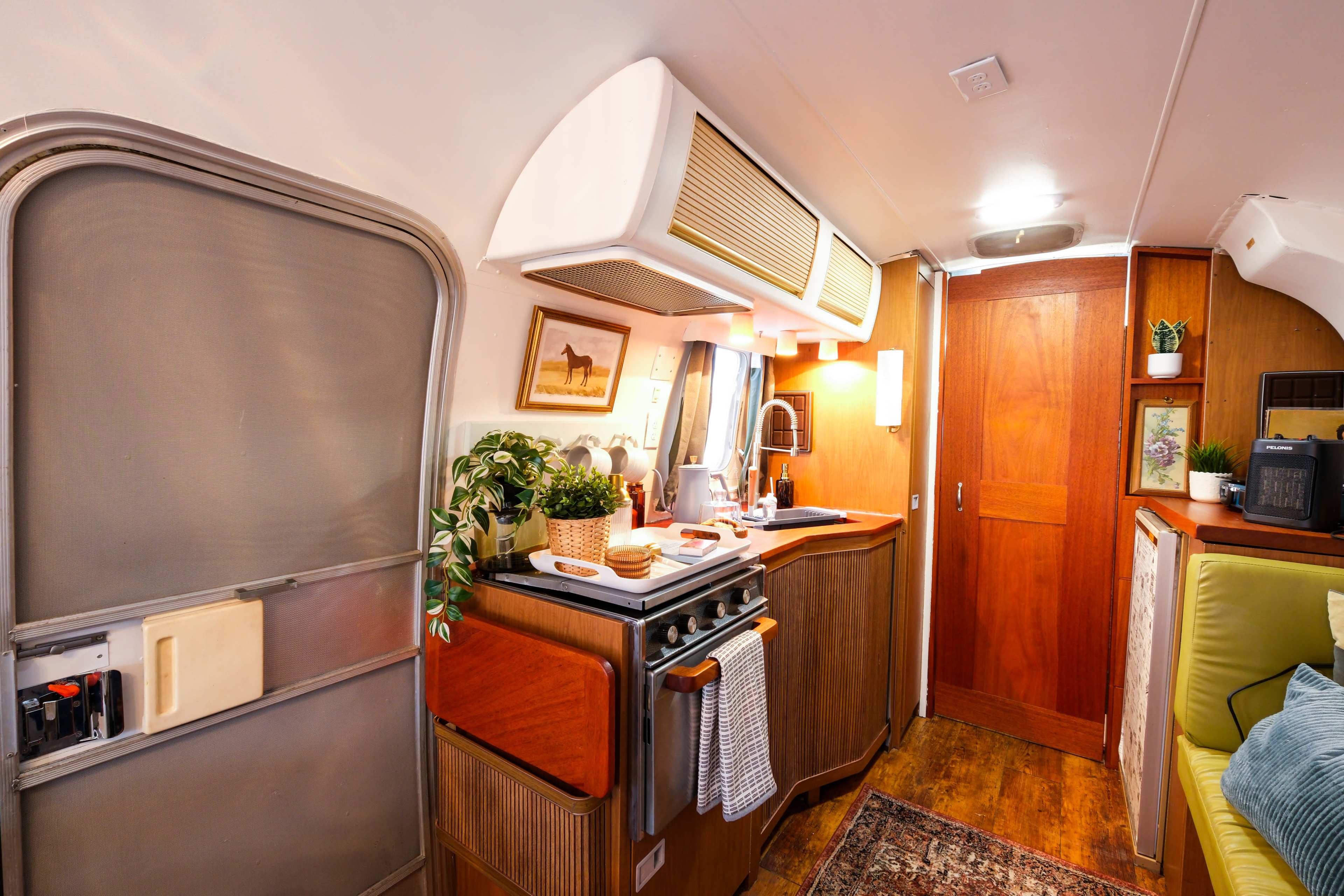 Margo, The Overland Caravan Image in Overland, Denver, CO