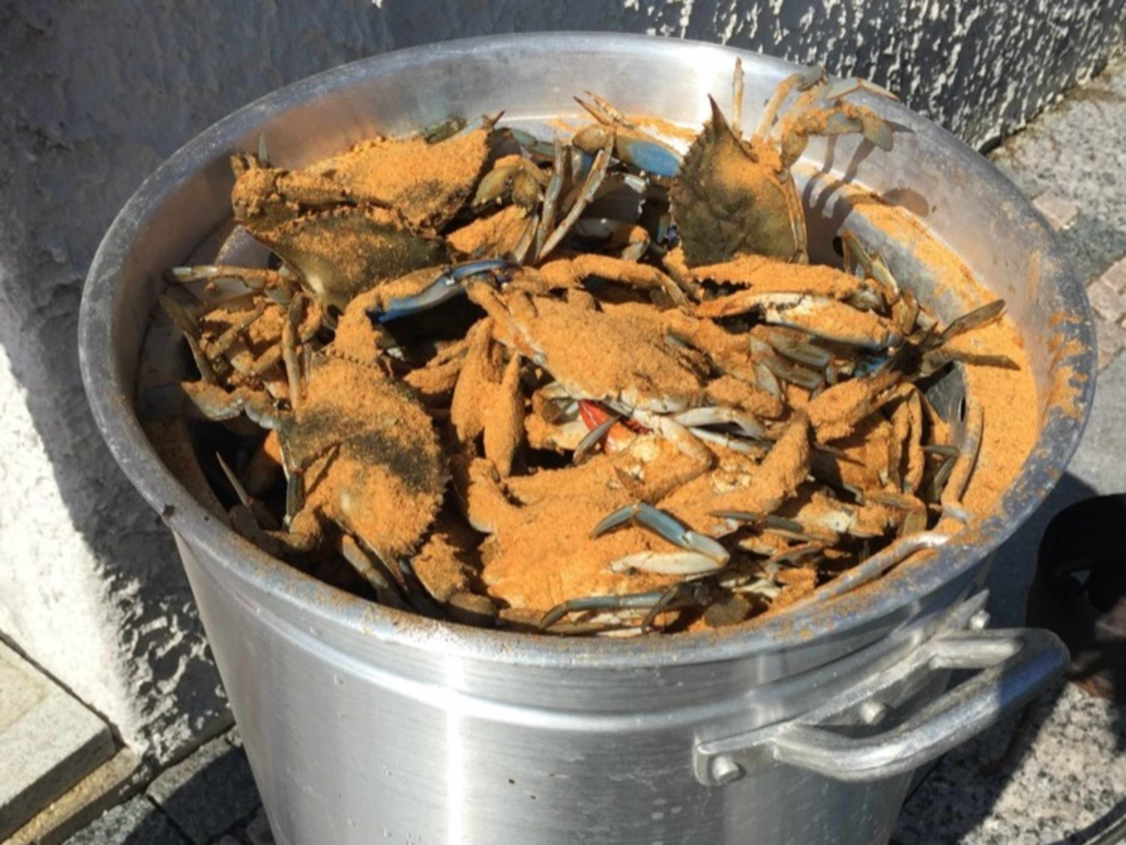 Blue crab feast