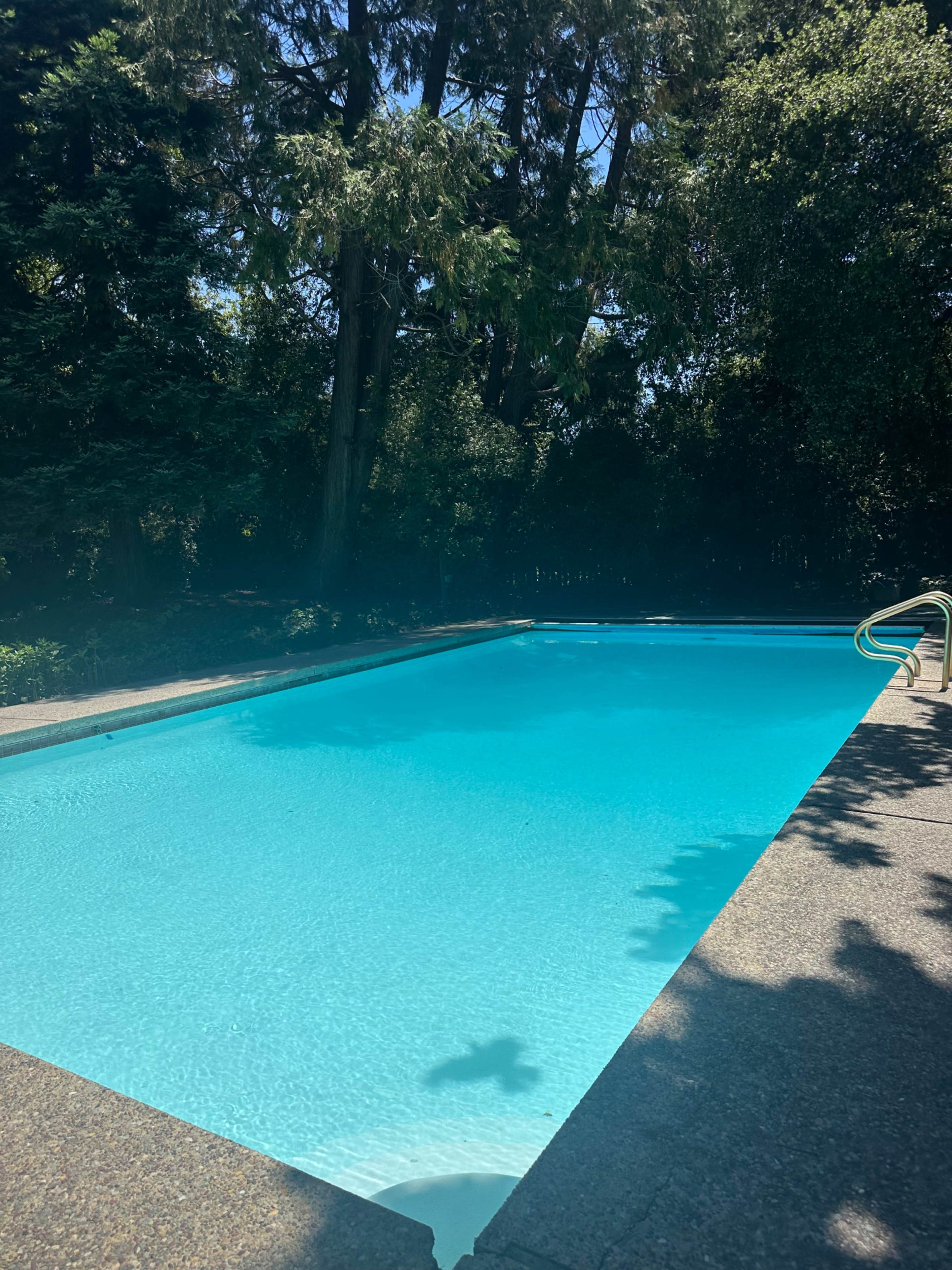 A clear blue swimming pool is surrounded by tall trees and greenery.