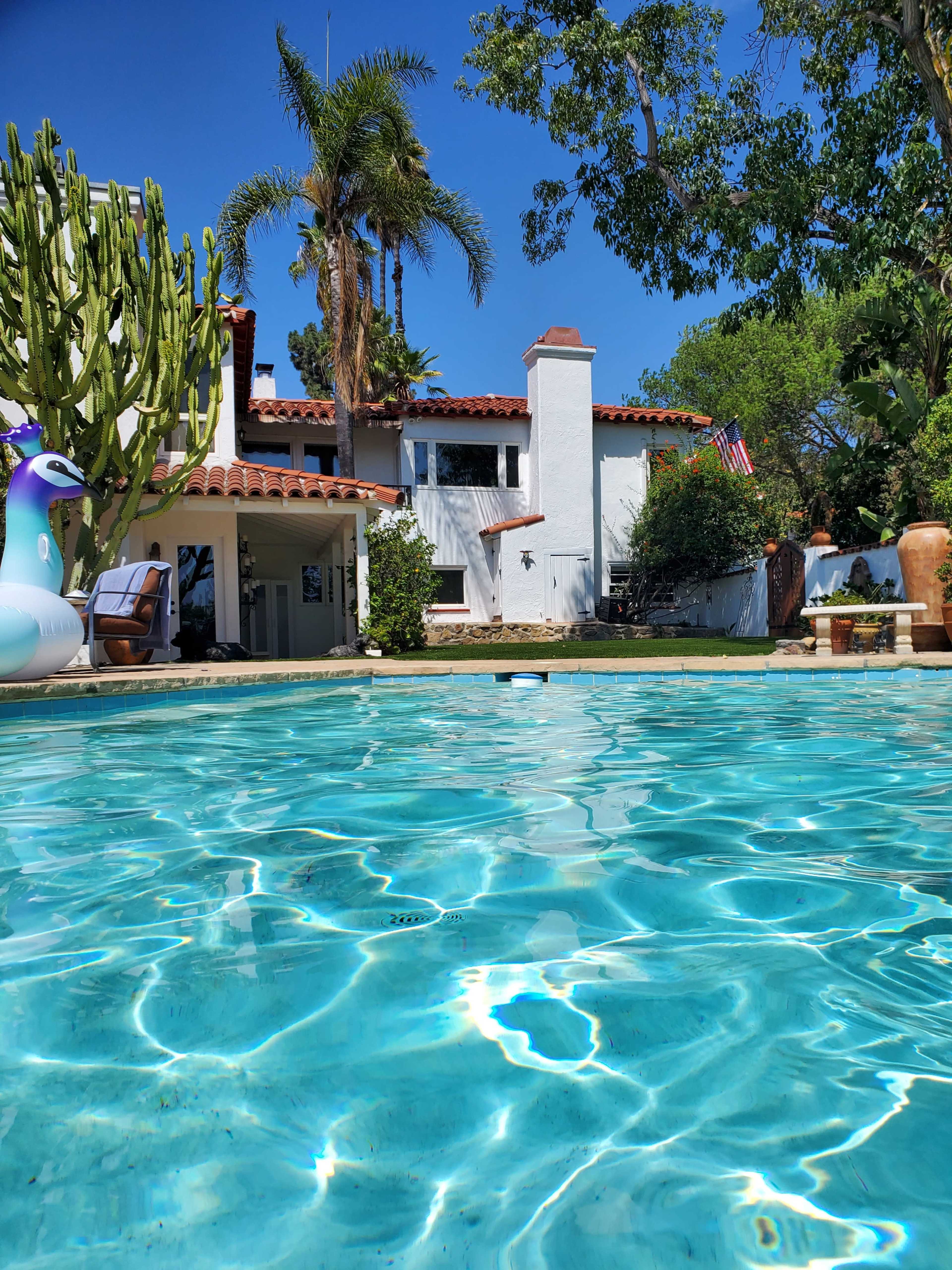 A clear swimming pool in the foreground with a house and lush greenery in the background under a bright blue sky.