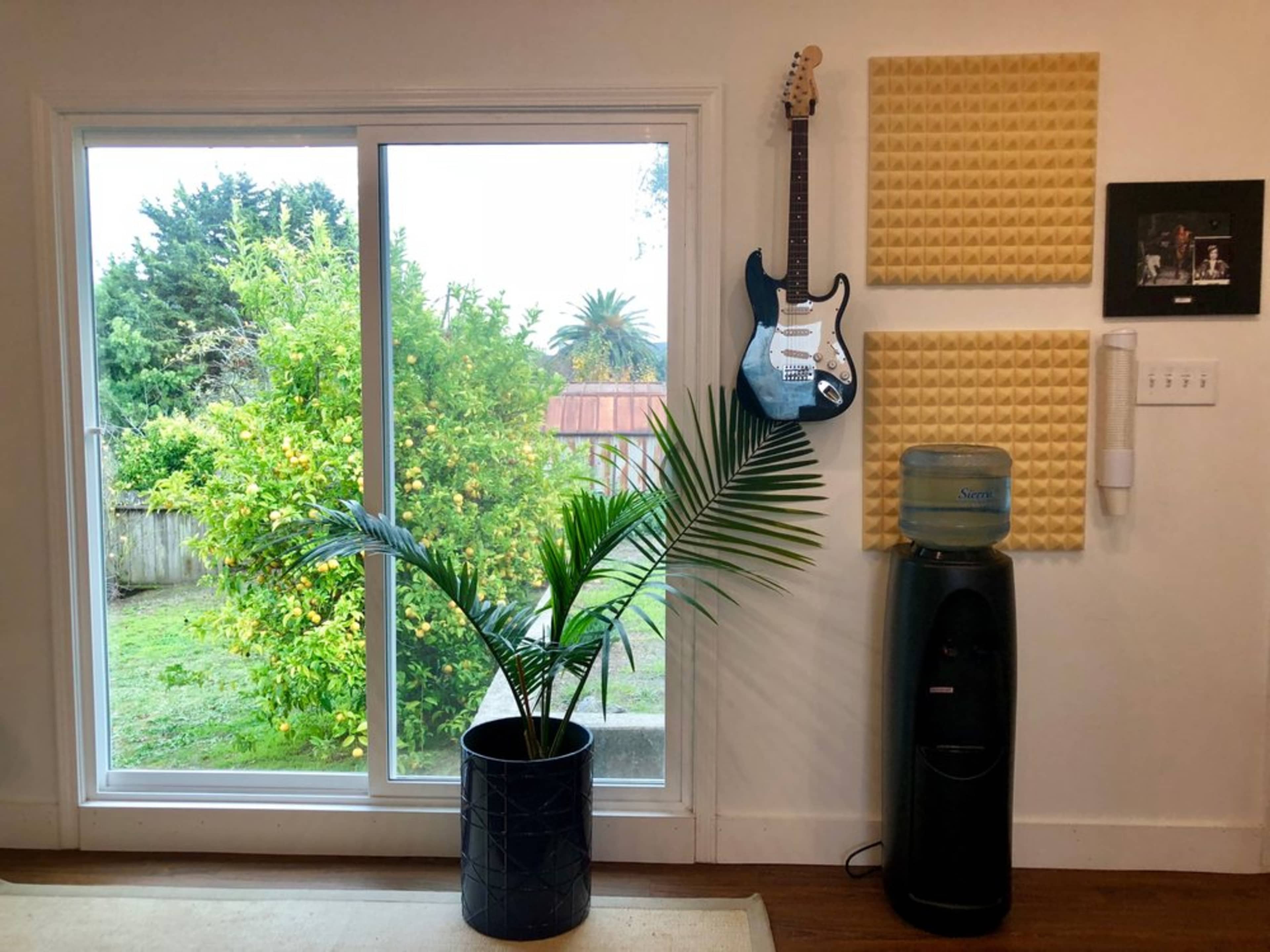 A room with a palm plant in a black pot, a guitar mounted on the wall, a water cooler, and a large window showing greenery outside.