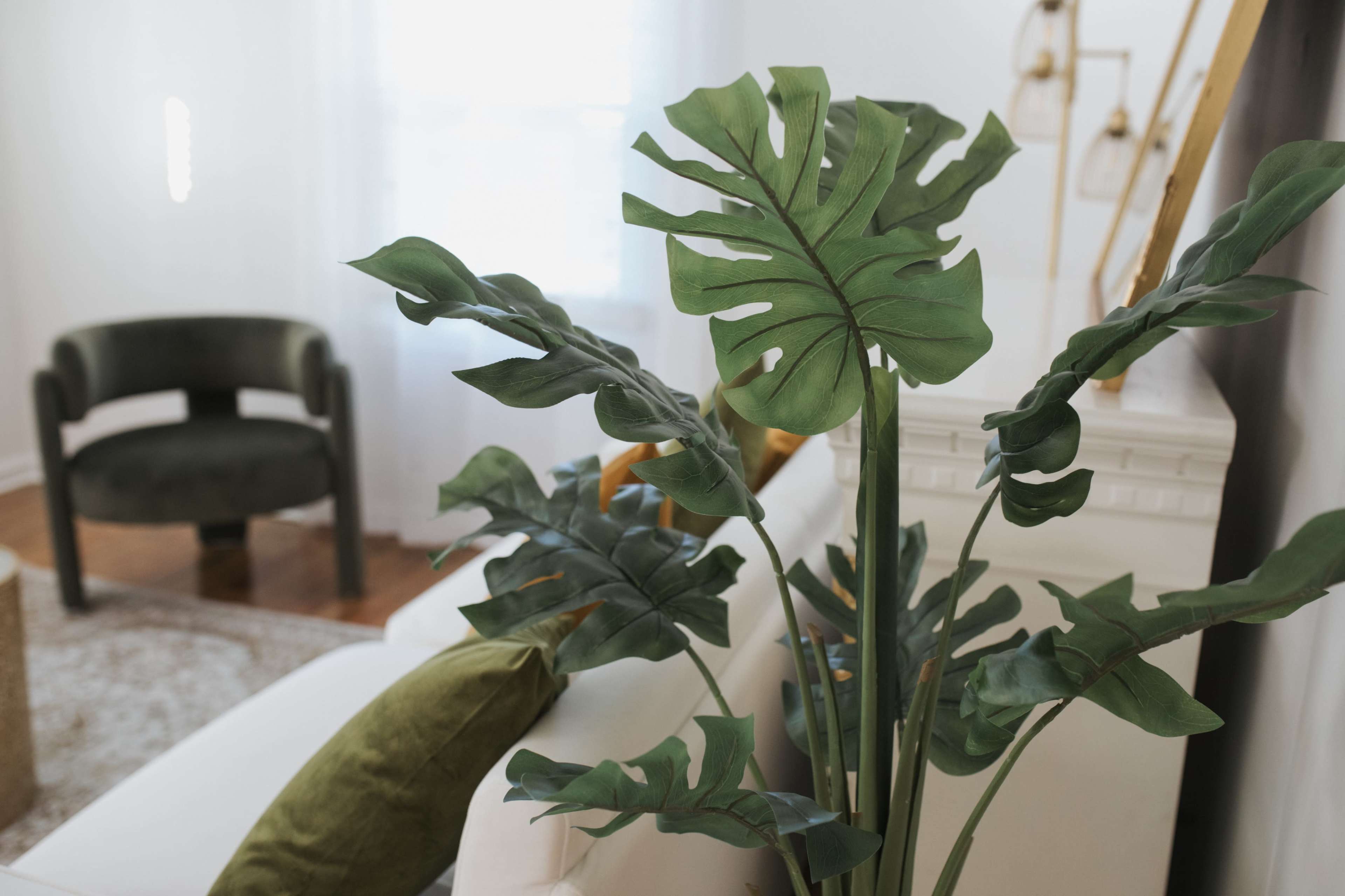 Elegant & Serene Natural Light Studio Image in Marietta, Marietta, GA
