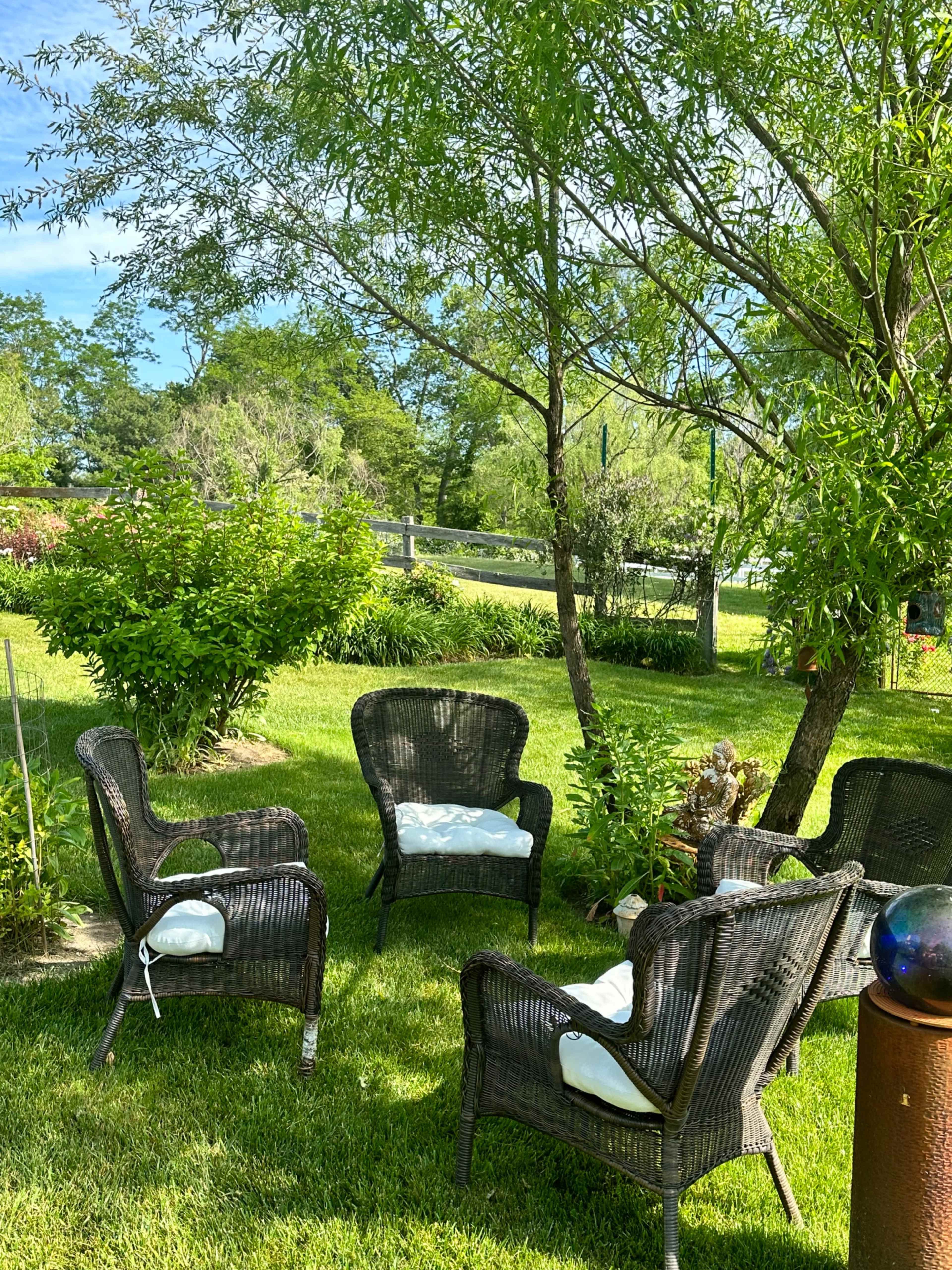 A circular arrangement of wicker chairs with white cushions sits on a well-kept green lawn under a leafy tree.