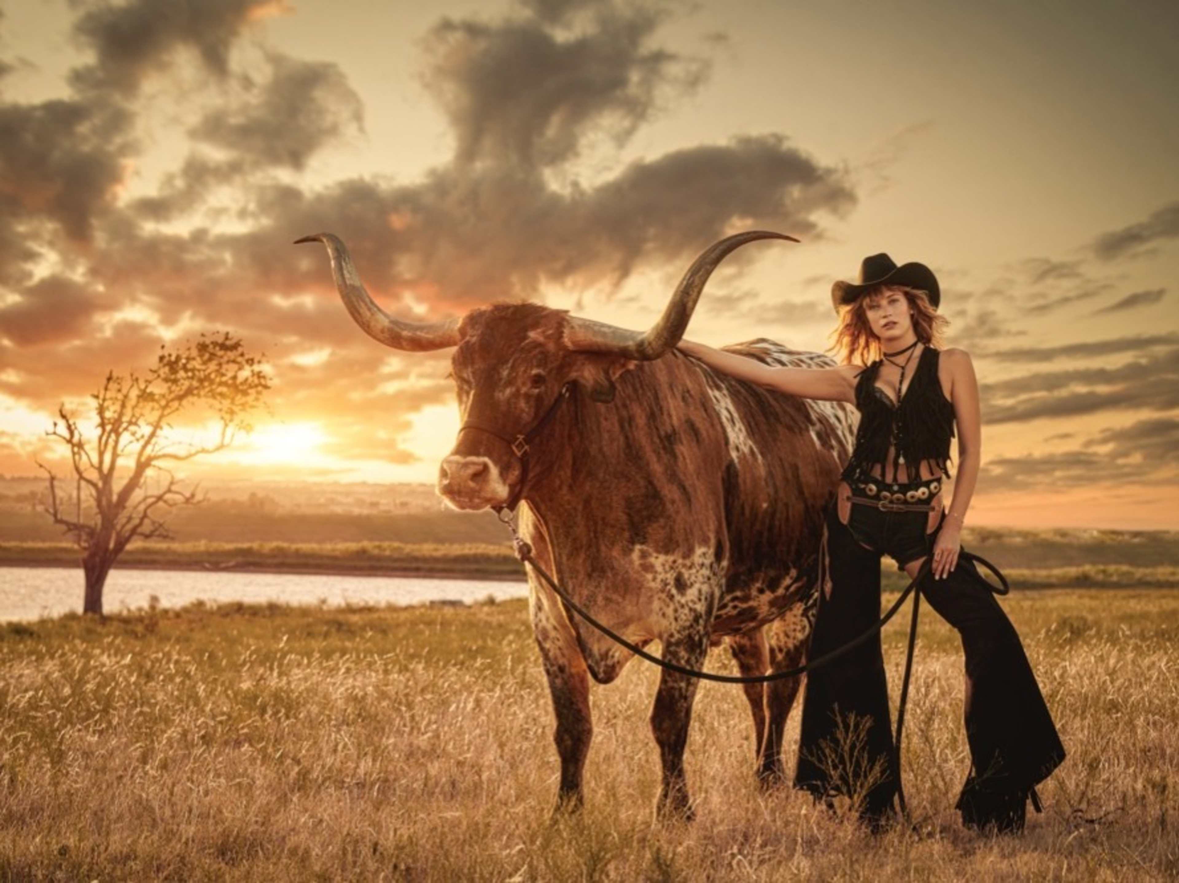 Longhorn Rental