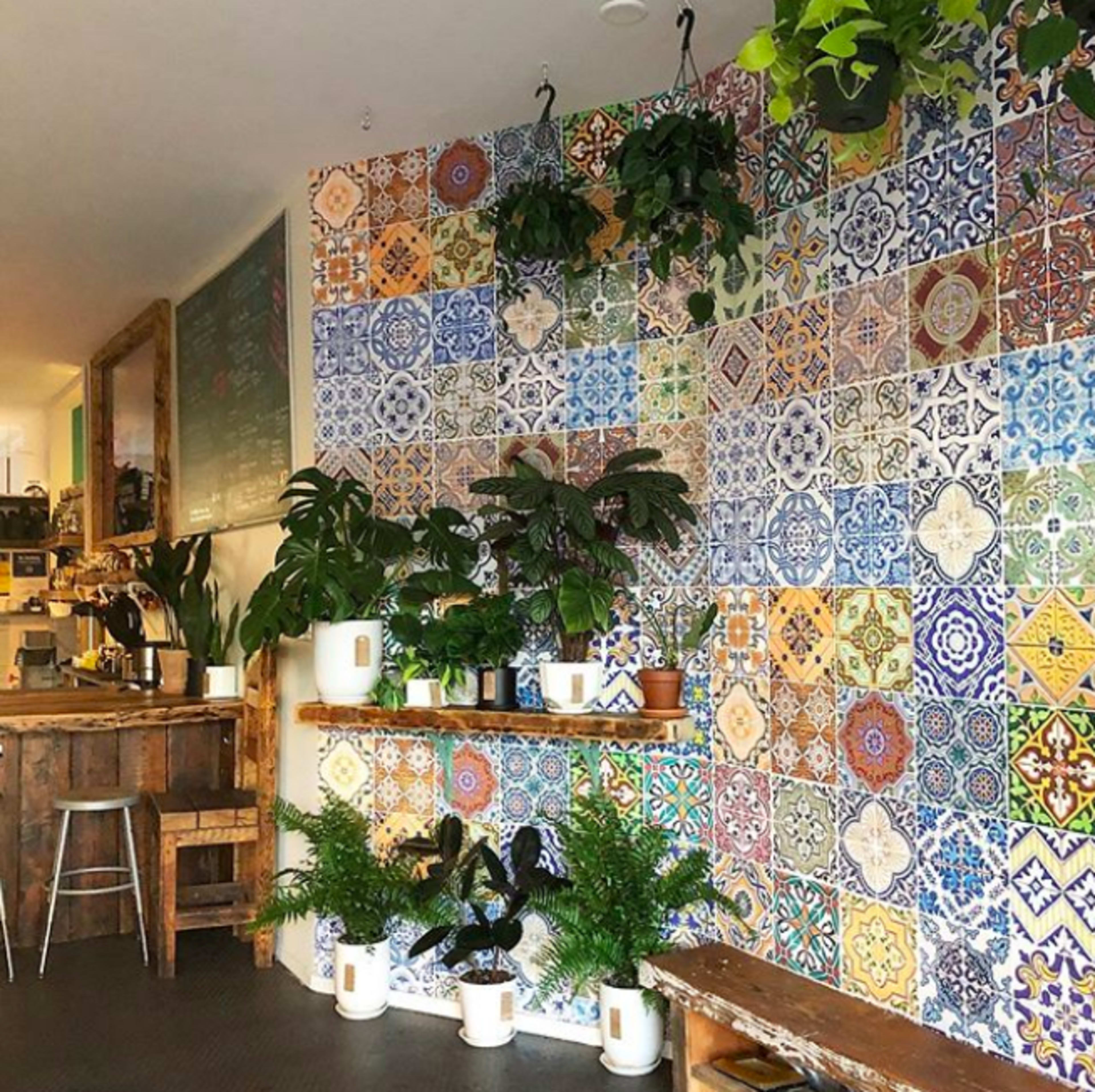 The image shows a vibrant café interior featuring a decorative wall tiled with colorful patterns and various indoor plants on wooden shelves.