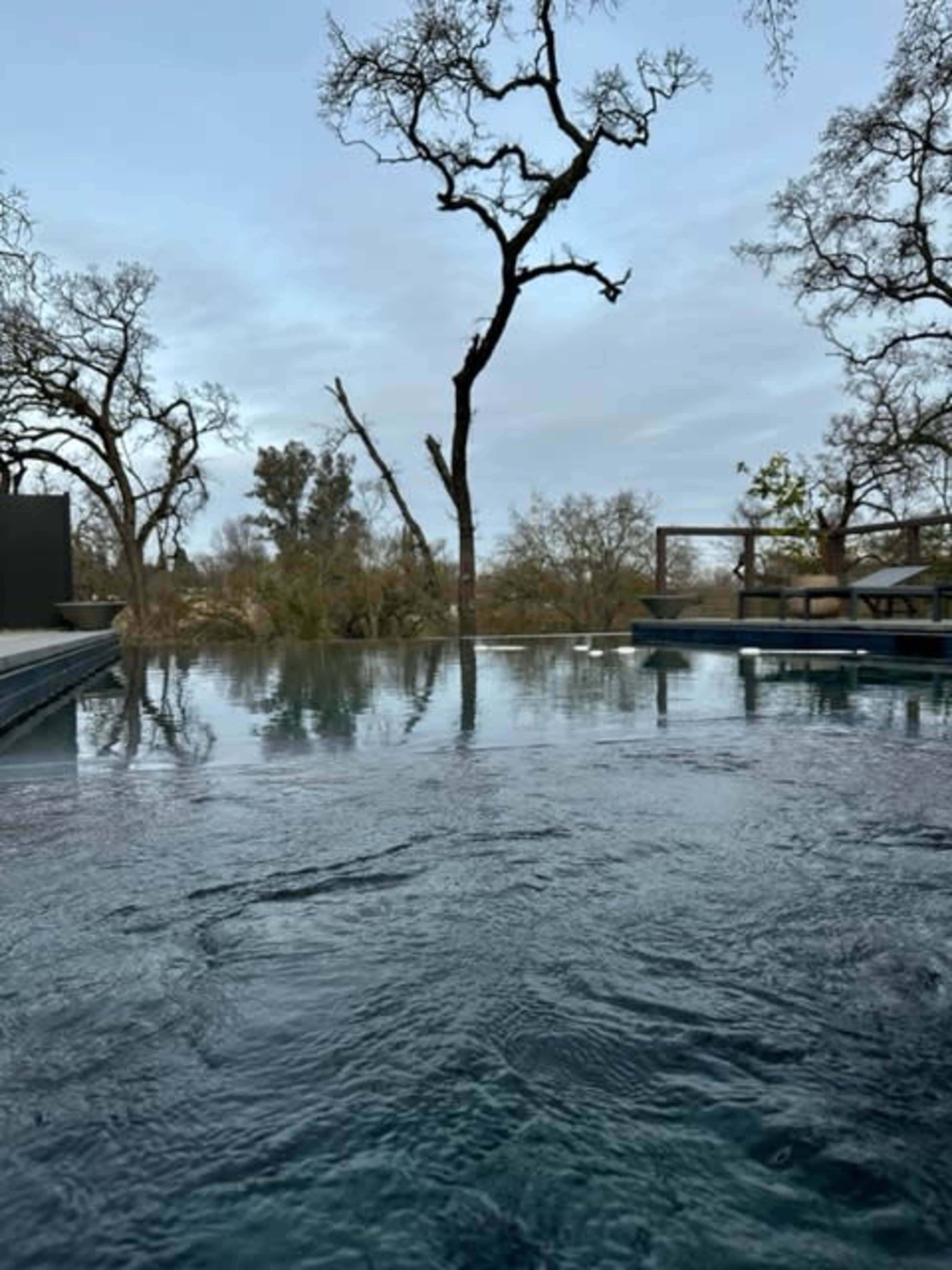 An infinity pool reflecting the sky and surrounding trees in a tranquil outdoor setting.