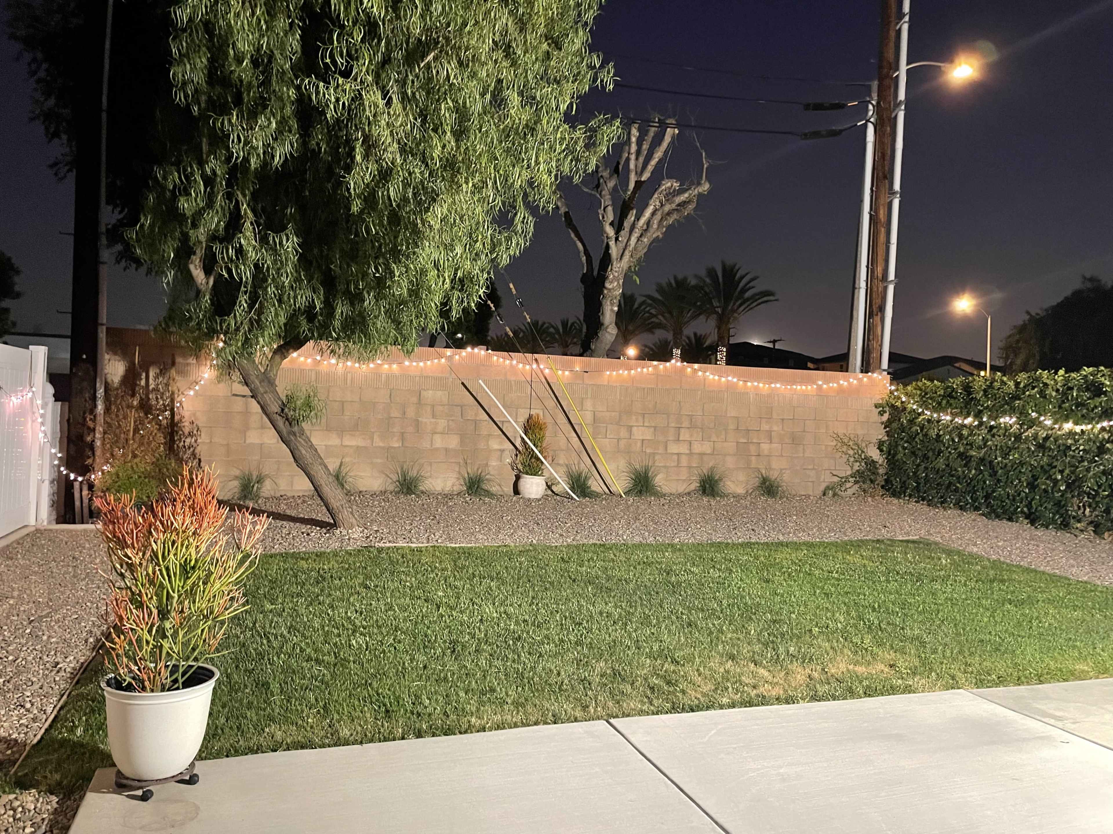 A yard with a neatly trimmed lawn, bordered by gravel and plants, and illuminated by string lights along a brick wall during nighttime.