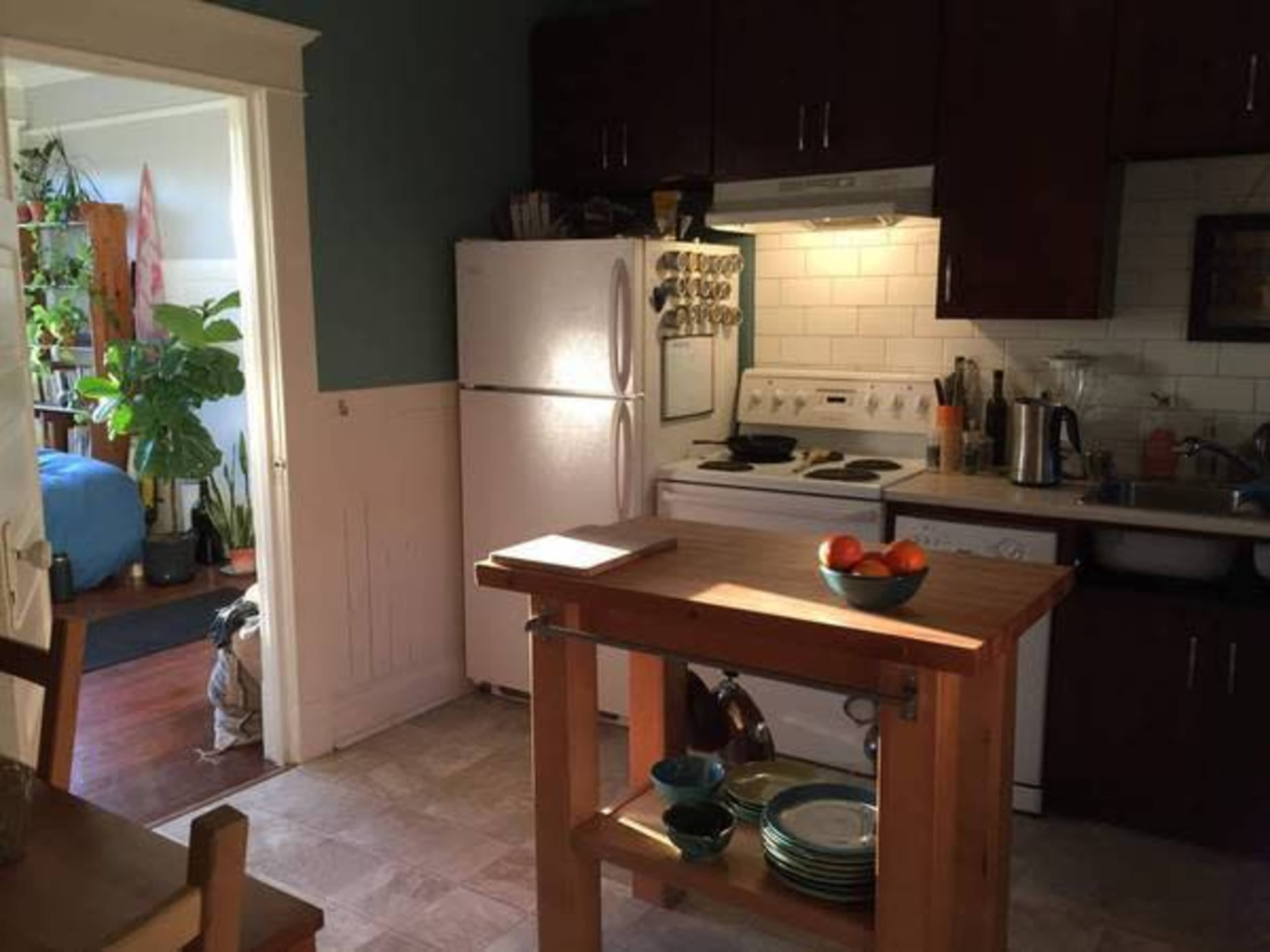 A kitchen with white appliances, wooden cabinetry, and a central island with a bowl of oranges on it.