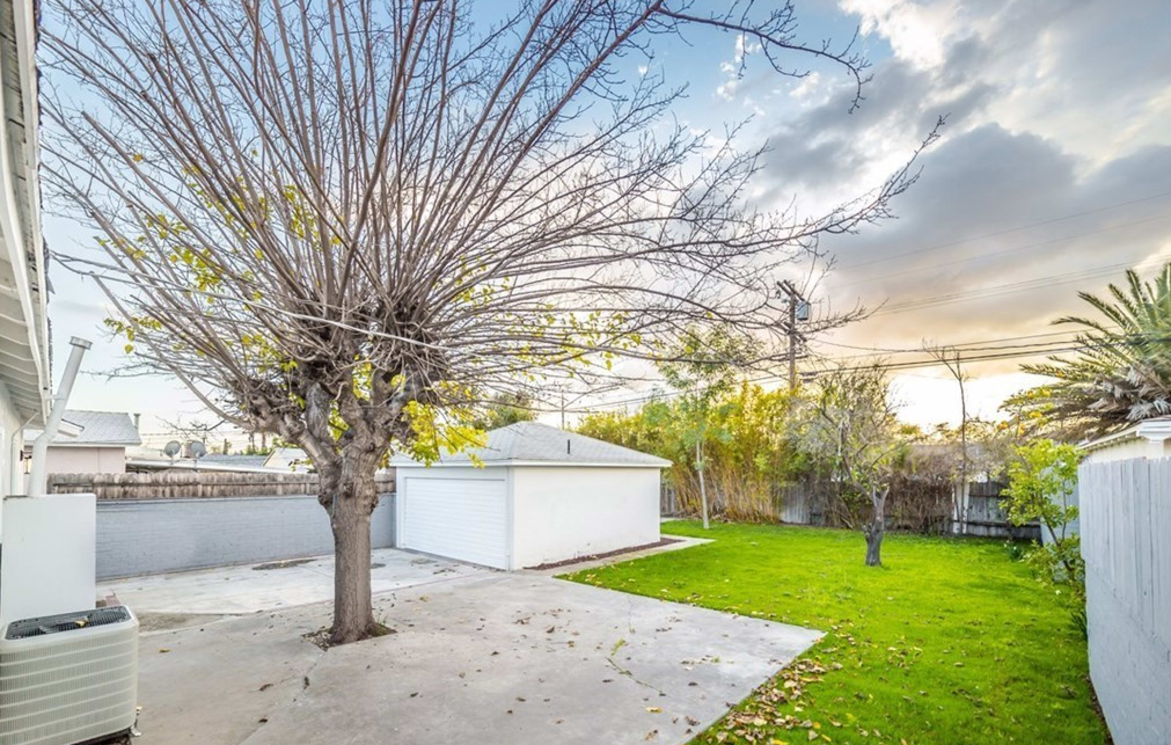 A bare tree stands in a concrete backyard adjacent to a detached garage, with green grass and scattered leaves under an overcast sky.