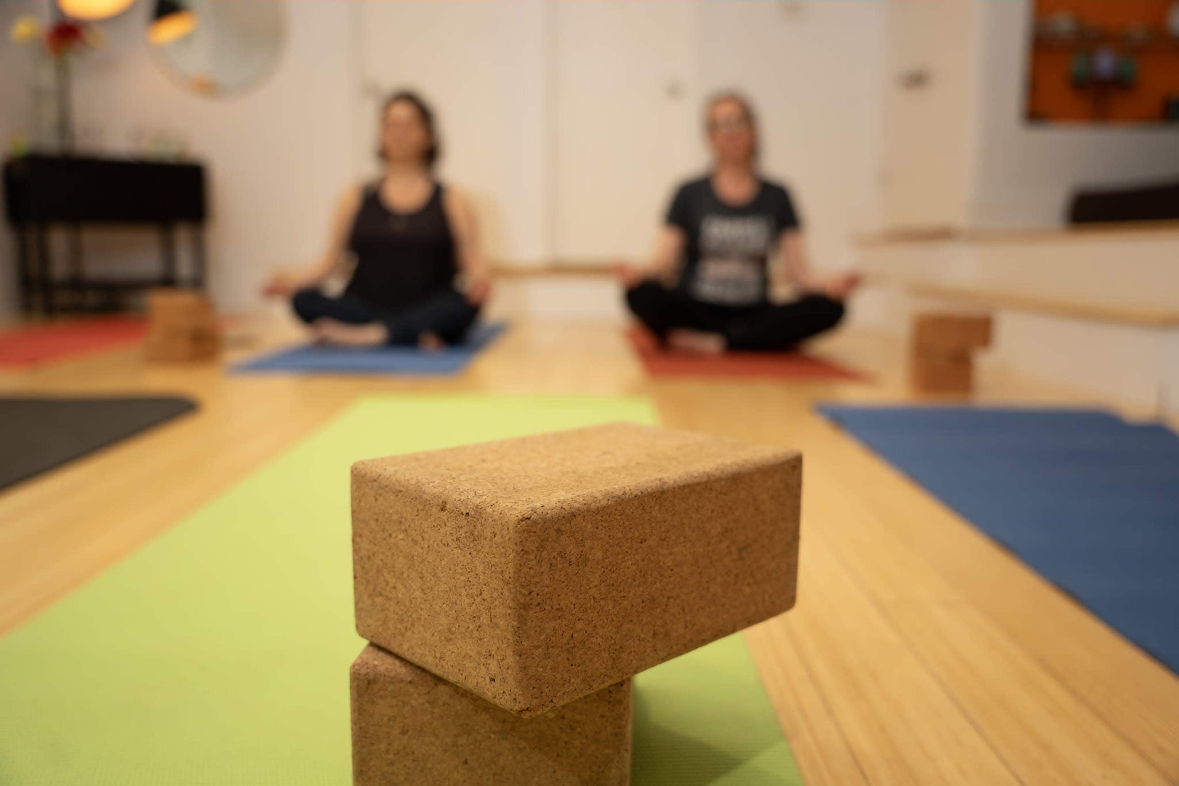 Trendy, Parkdale, Modern Open Concept Apartment Image in Parkdale, TORONTO, ONTARIO, ON