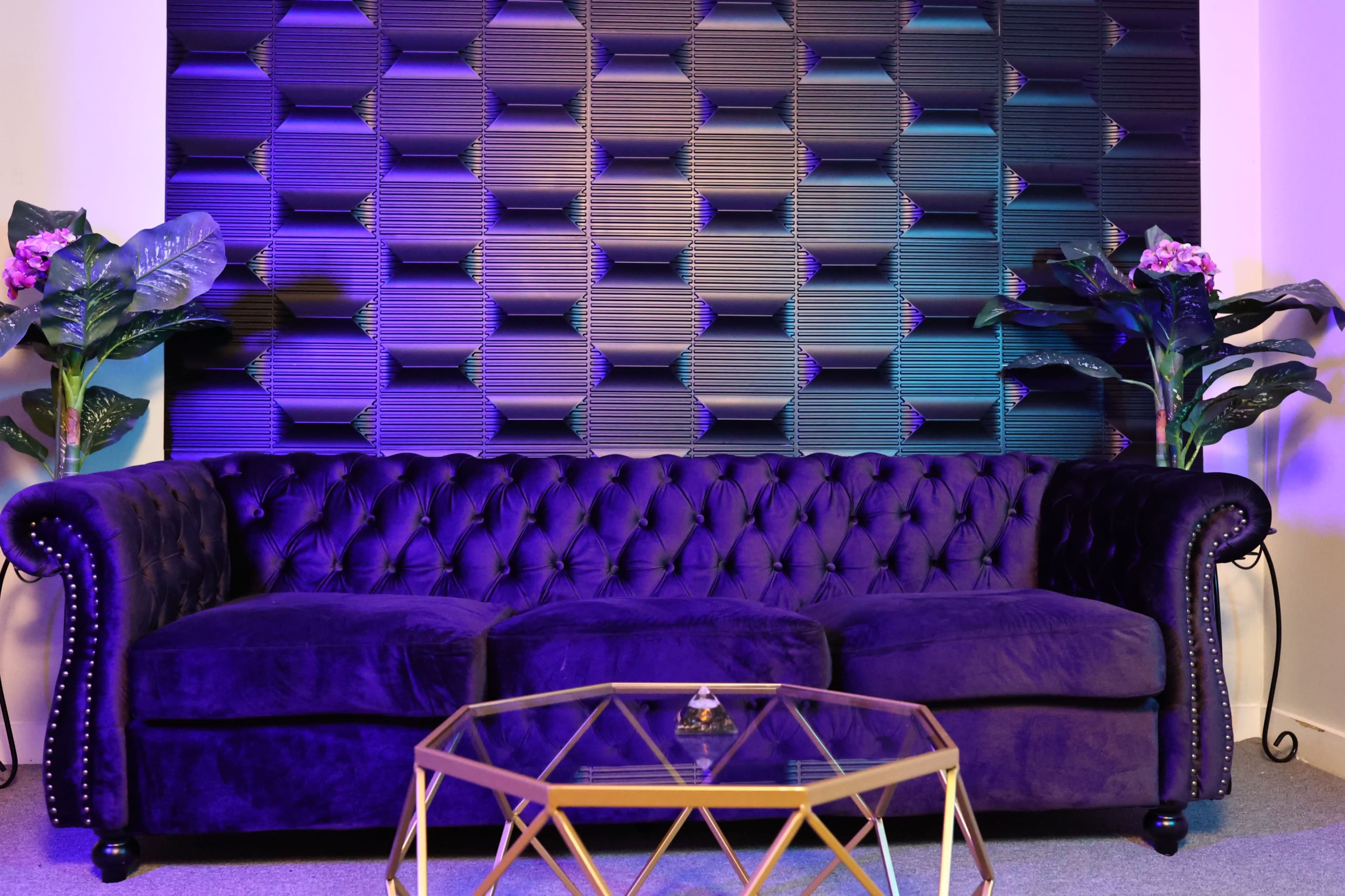 A purple tufted couch is positioned in front of a textured wall, flanked by two potted plants and a geometric glass coffee table.