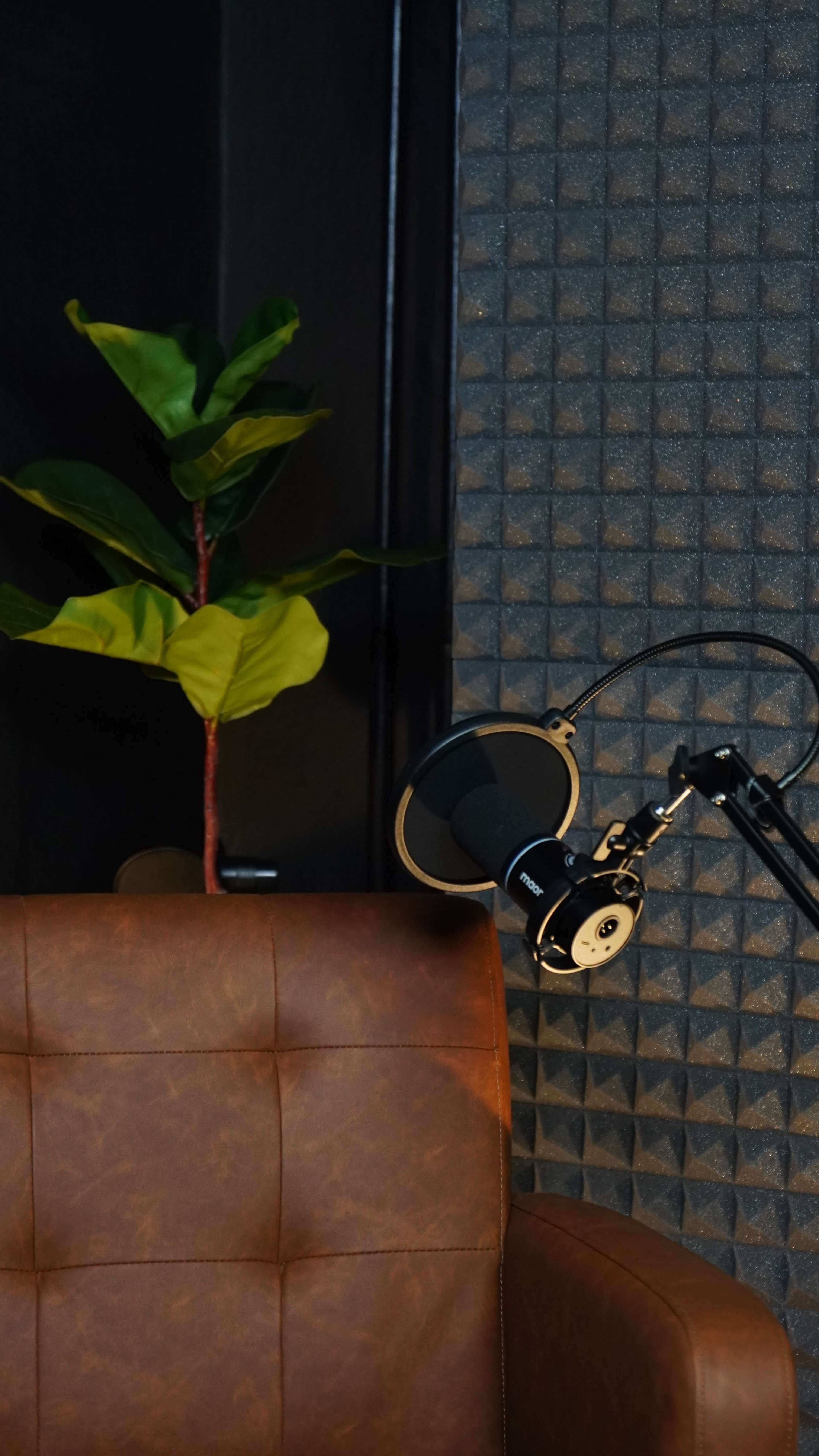 Podcast / Video / Musik Aufnahmestudio zentral in Berlin in einem ruhigen Hinterhof Bild in Kreuzberg, Berlin, 