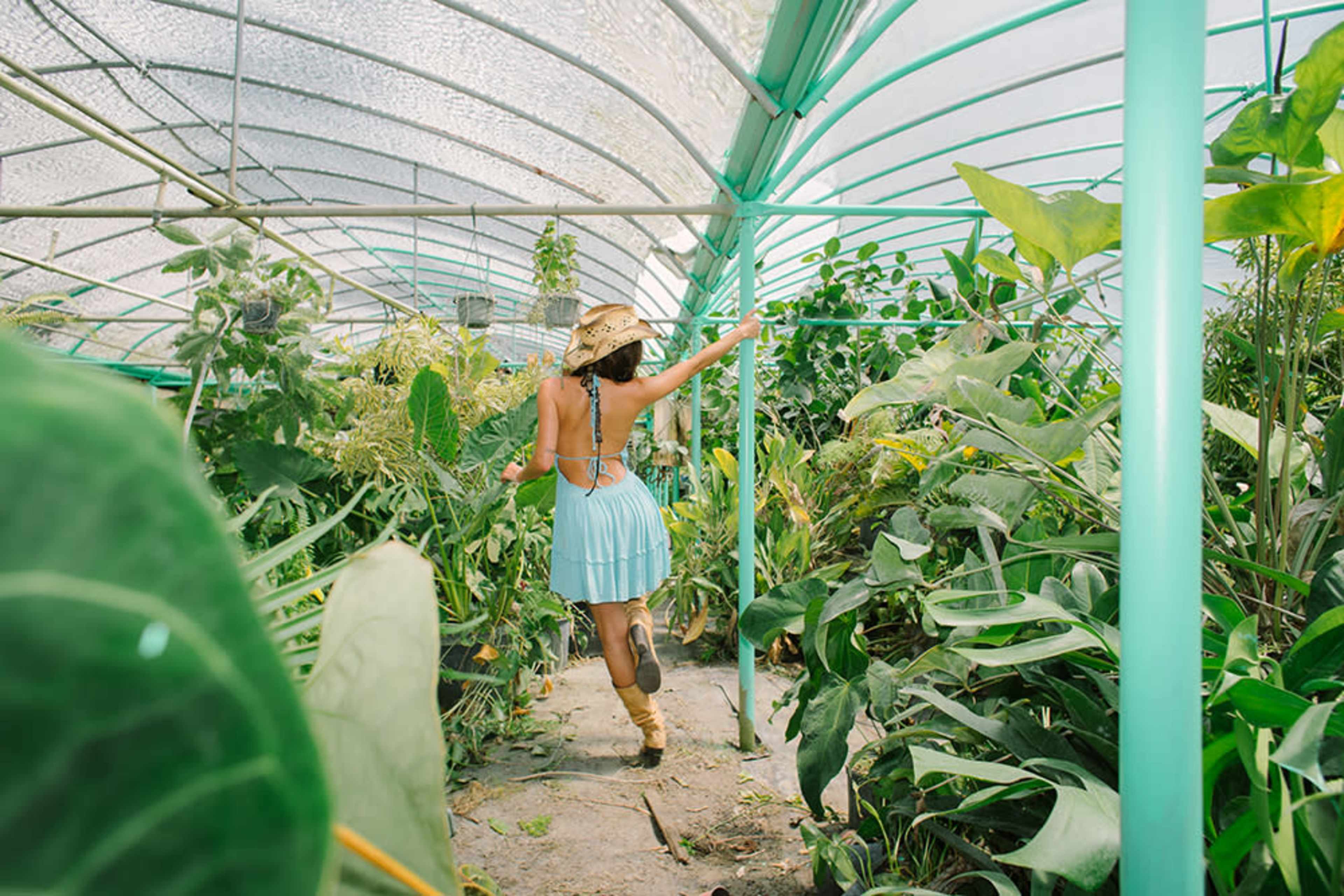 A woman in a light blue dress walks through a greenhouse filled with various plants.