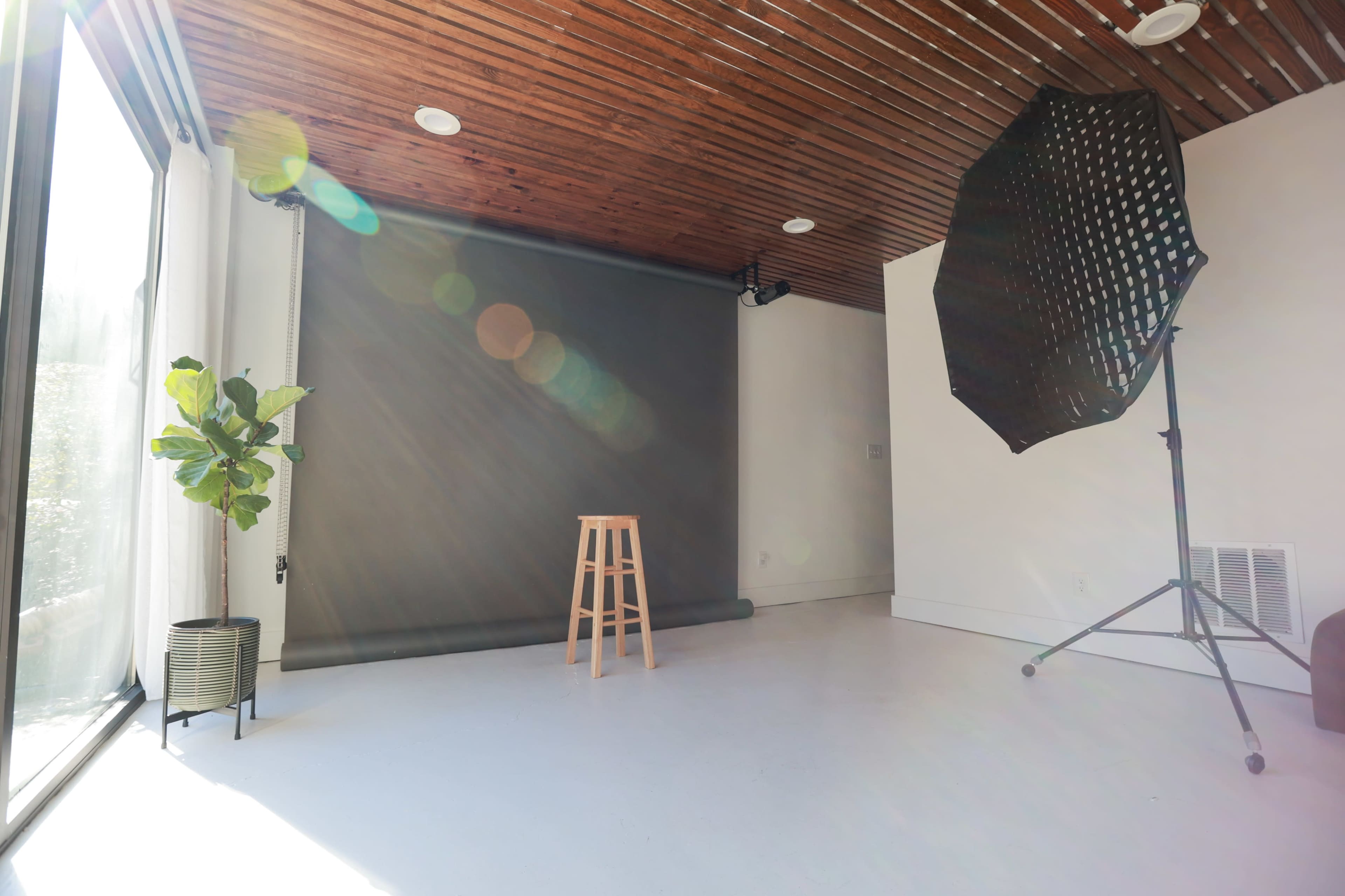 A minimalist photography studio features a wooden stool, a potted plant, and a large softbox near a gray backdrop.