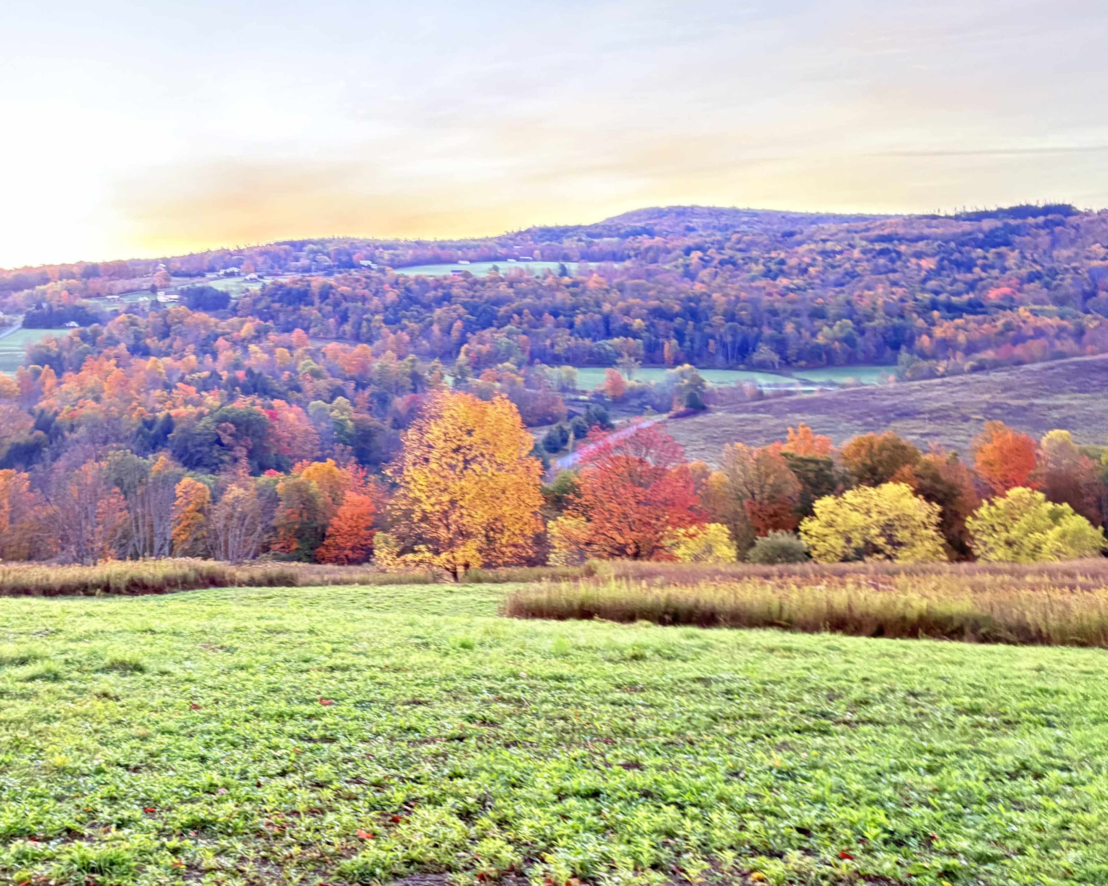 The image shows a vibrant landscape of rolling hills covered in trees with autumn foliage, featuring a grassy foreground.