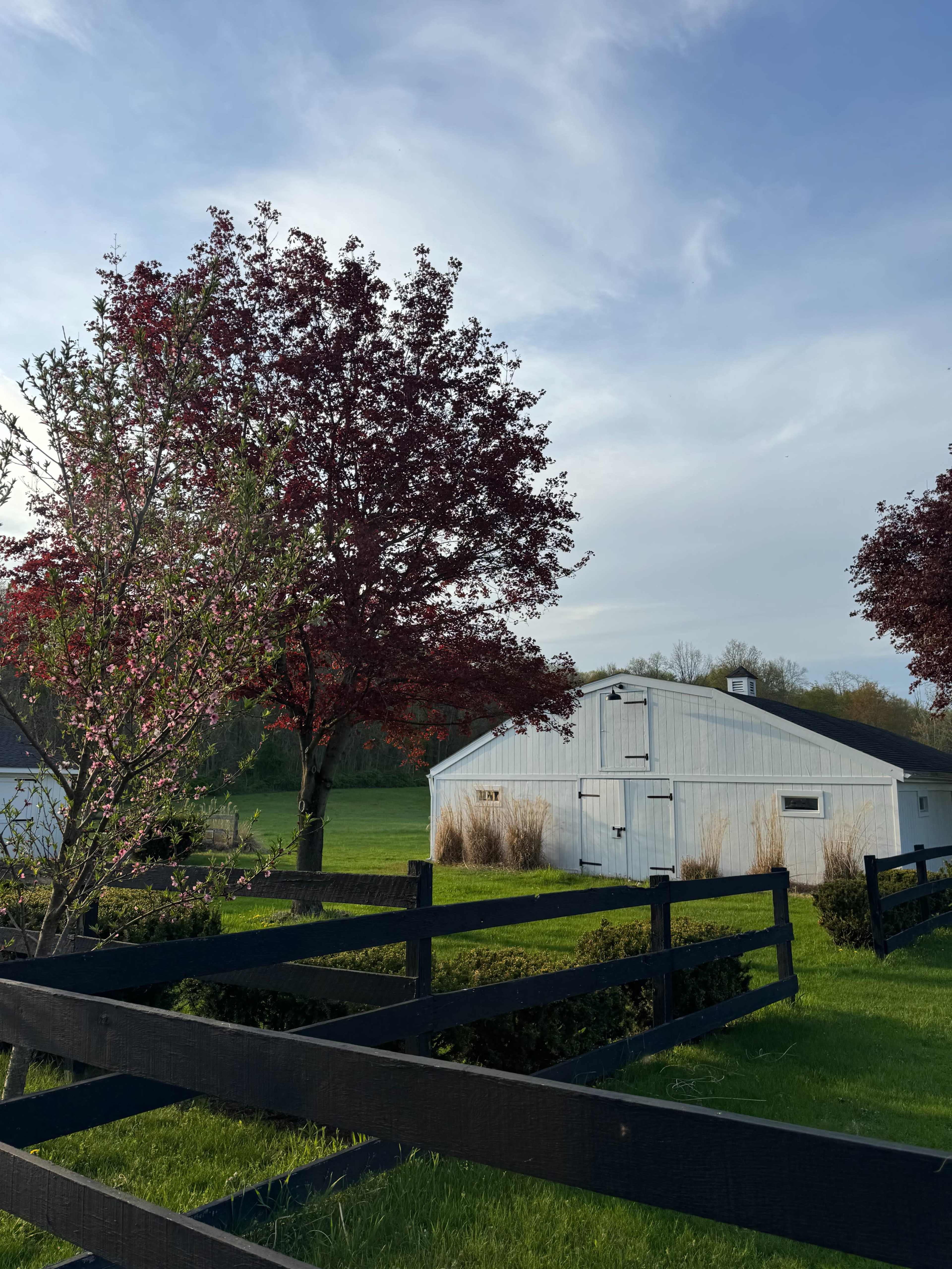 Dream renovated farmhouse & barn on 15 acres just outside of Rhinebeck Village Image in Hyde Park, Staatsburg, NY