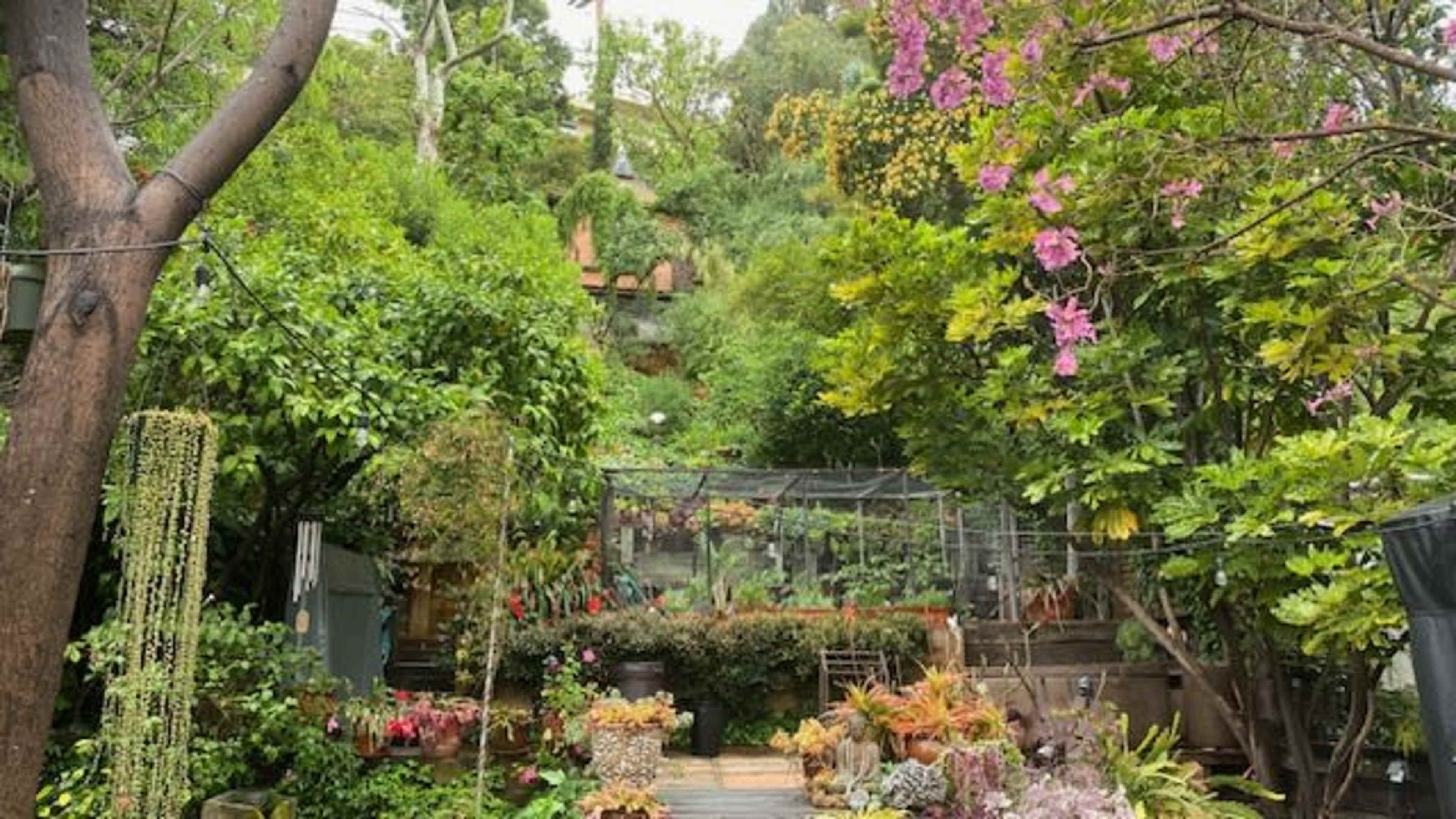 A lush garden is filled with various plants, flowers, and landscaped features in a green, elevated setting.