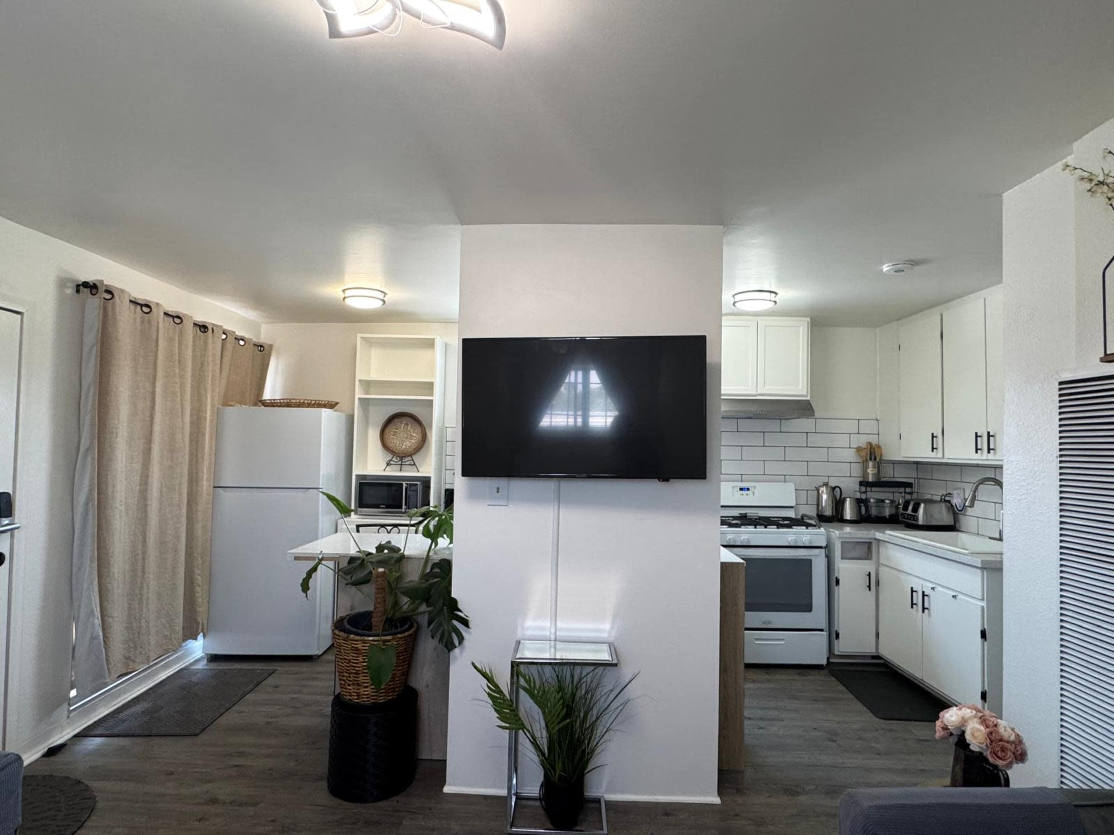 The image shows a modern kitchen and living area with a refrigerator, stove, and a wall-mounted television, along with a potted plant near the base of a wall.