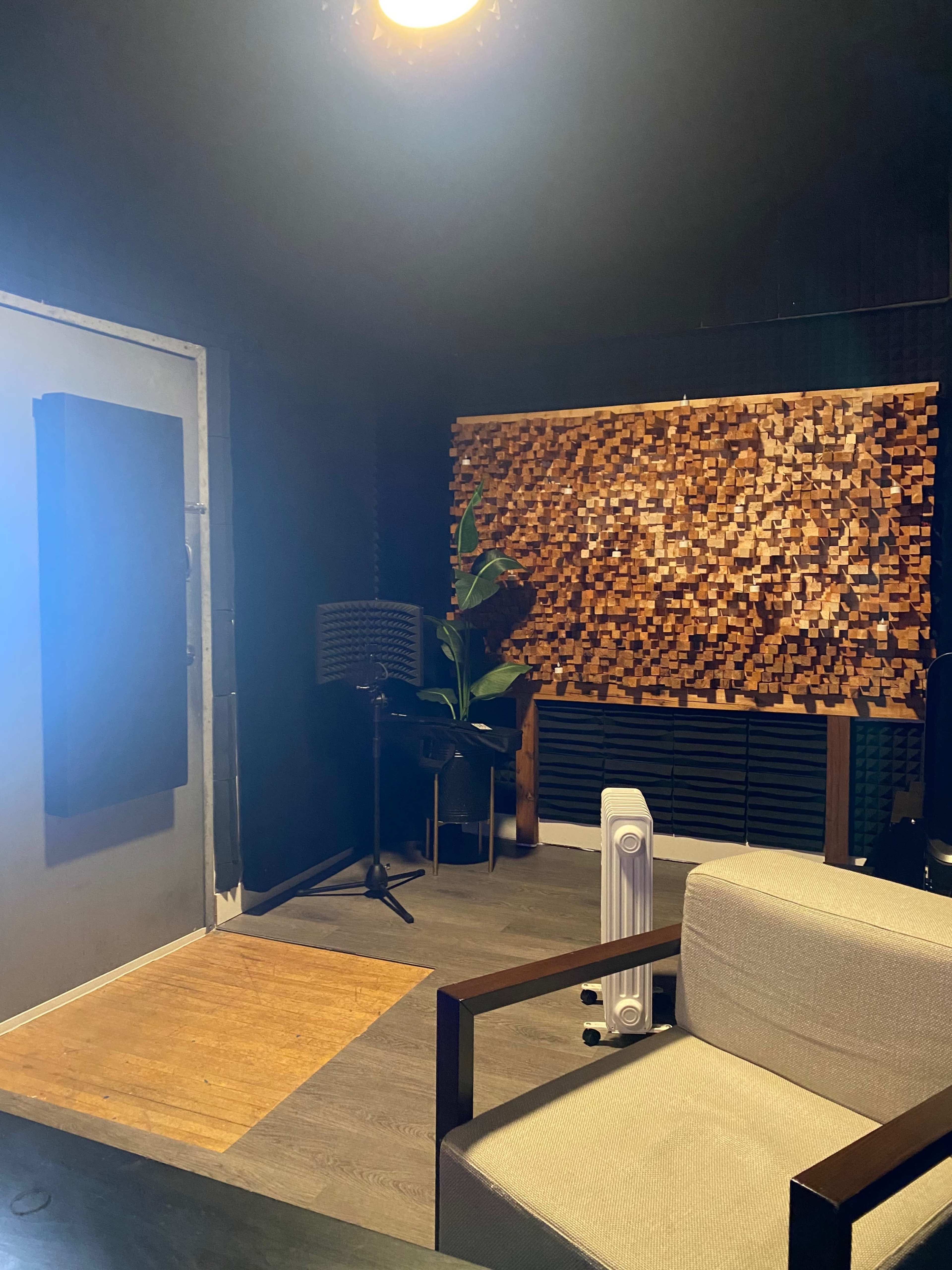 A soundproof recording studio featuring a wooden wall panel, a plant, a chair, and various acoustic treatment elements.