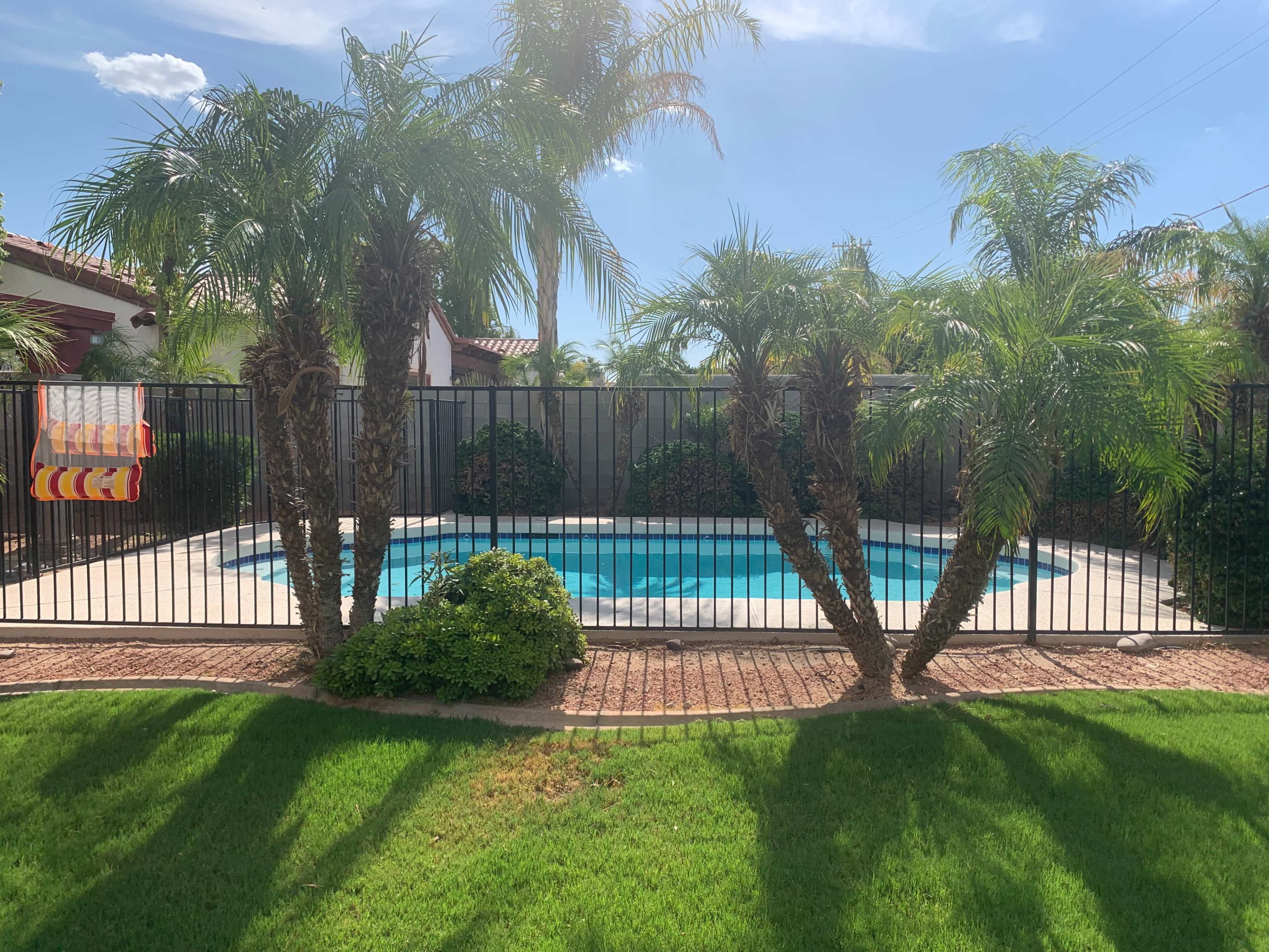 A fenced swimming pool surrounded by palm trees and a grassy area.