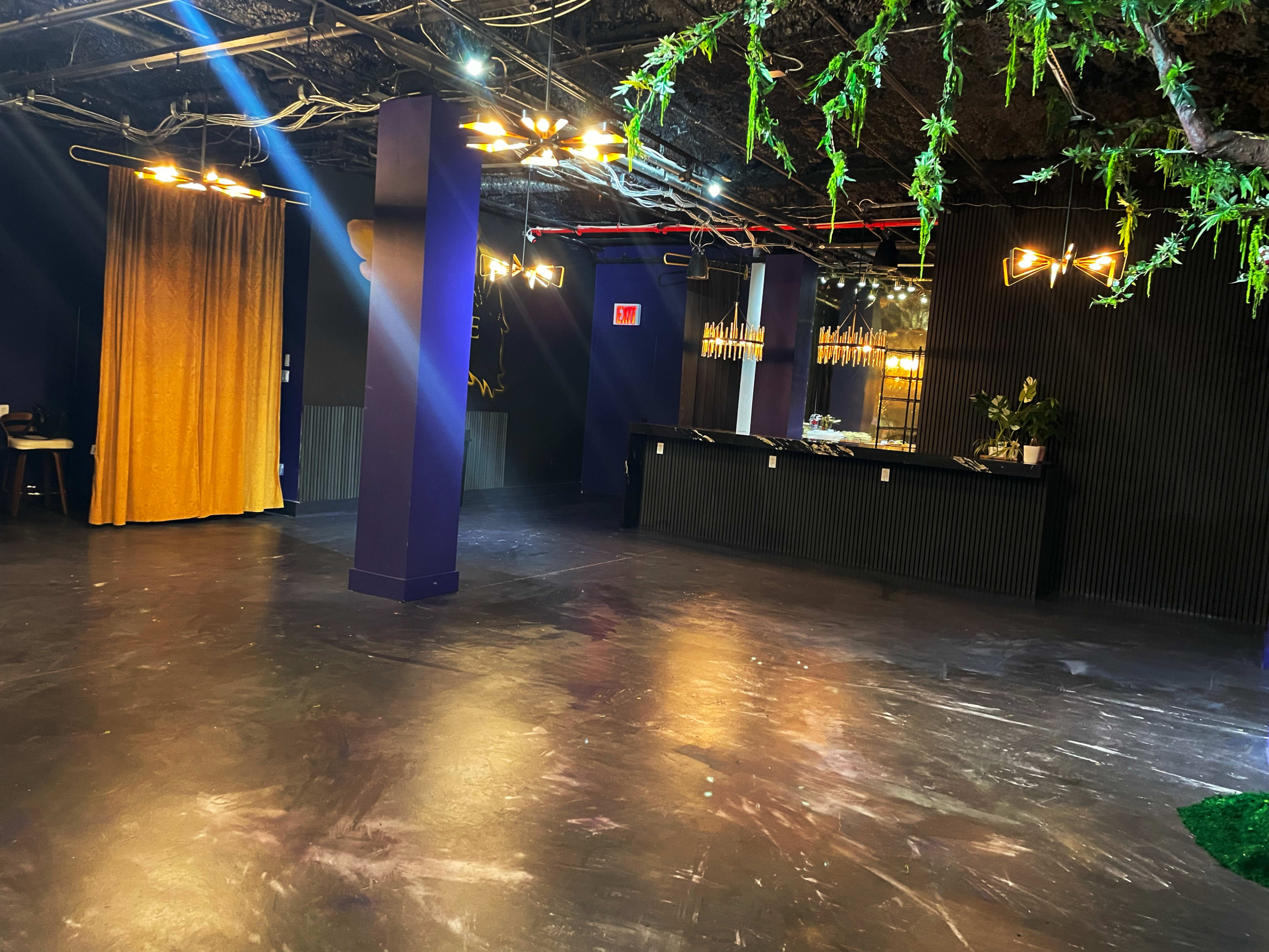 Private Brooklyn Lounge w/ Botanical Bar + String-Lit Backyard Vibe Image in Bedford-Stuyvesant, Brooklyn, NY
