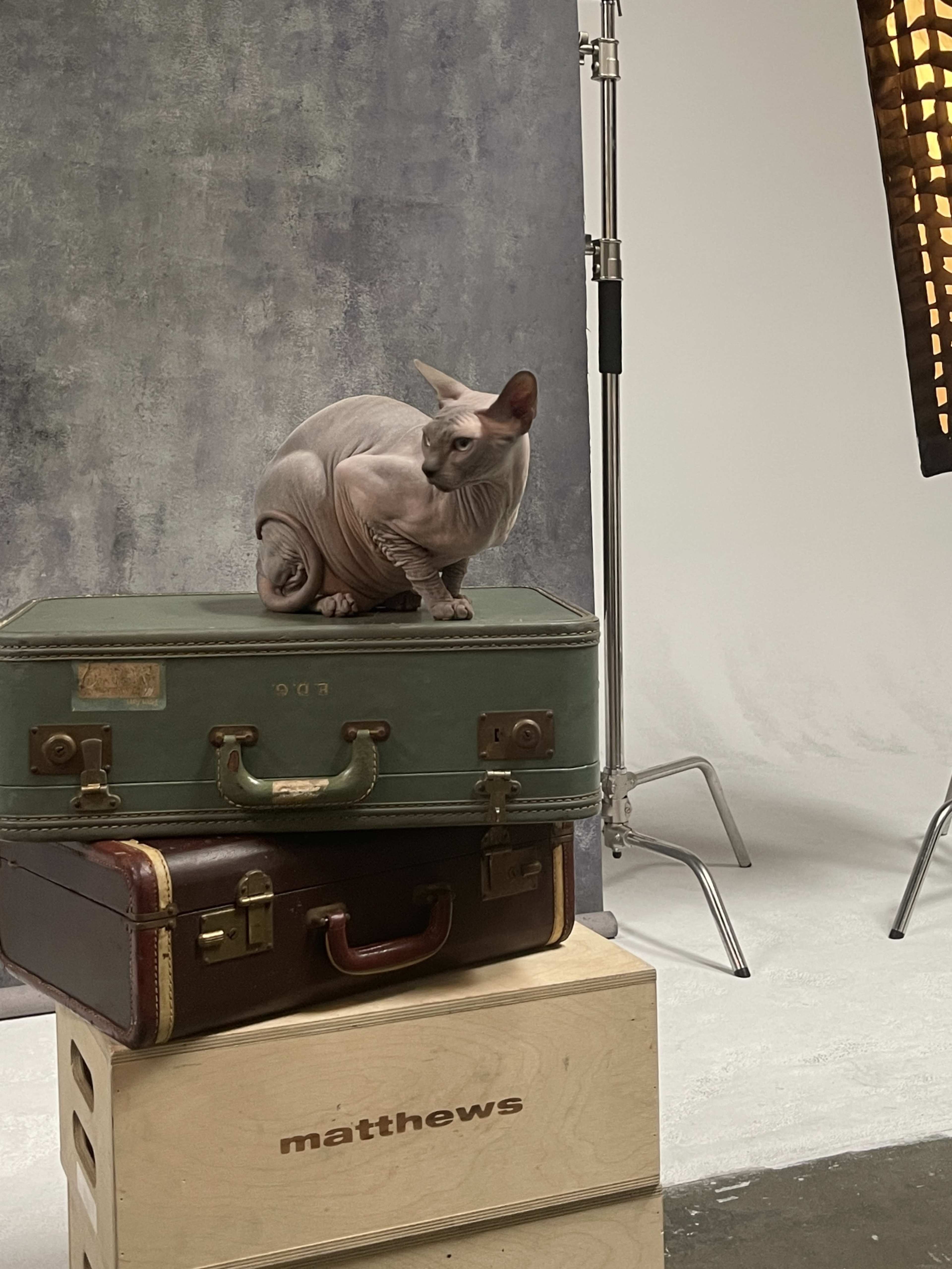 Portrait photo shoot