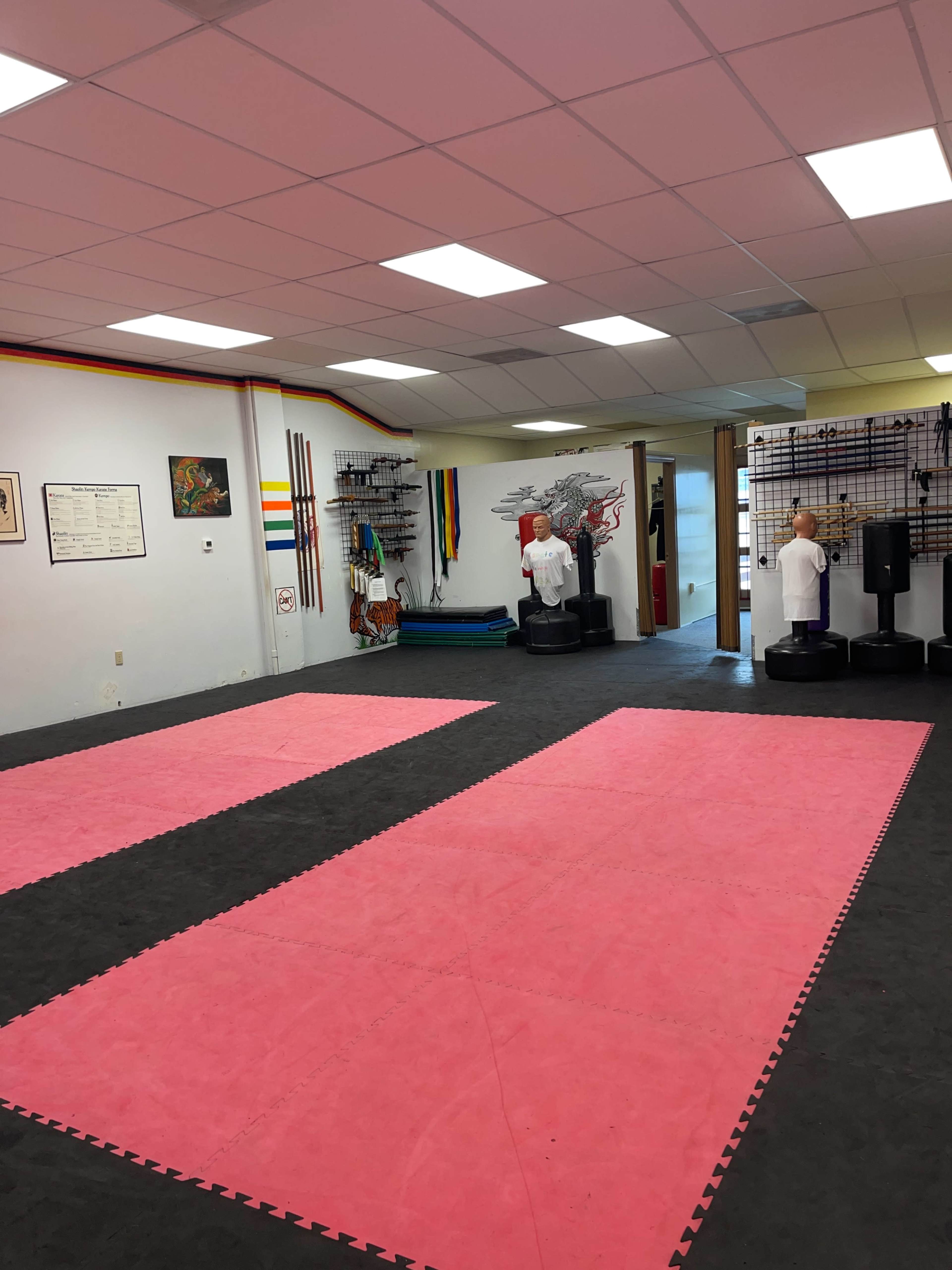 A martial arts training studio with pink mats, training dummies, and colorful wall decorations.