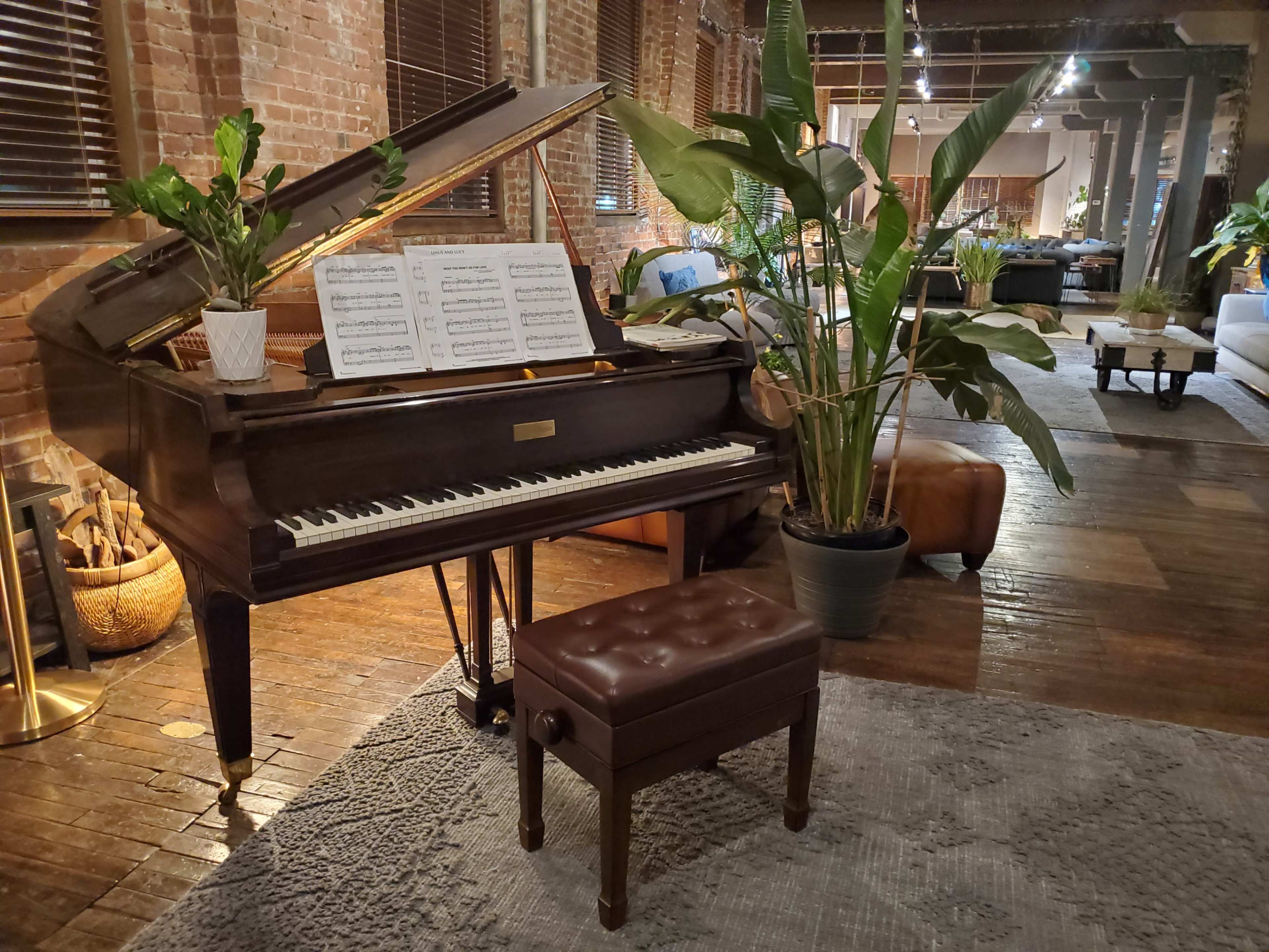 A grand piano with sheet music on the stand sits beside a potted plant in a stylishly decorated lounge area featuring wooden floors and comfortable seating.