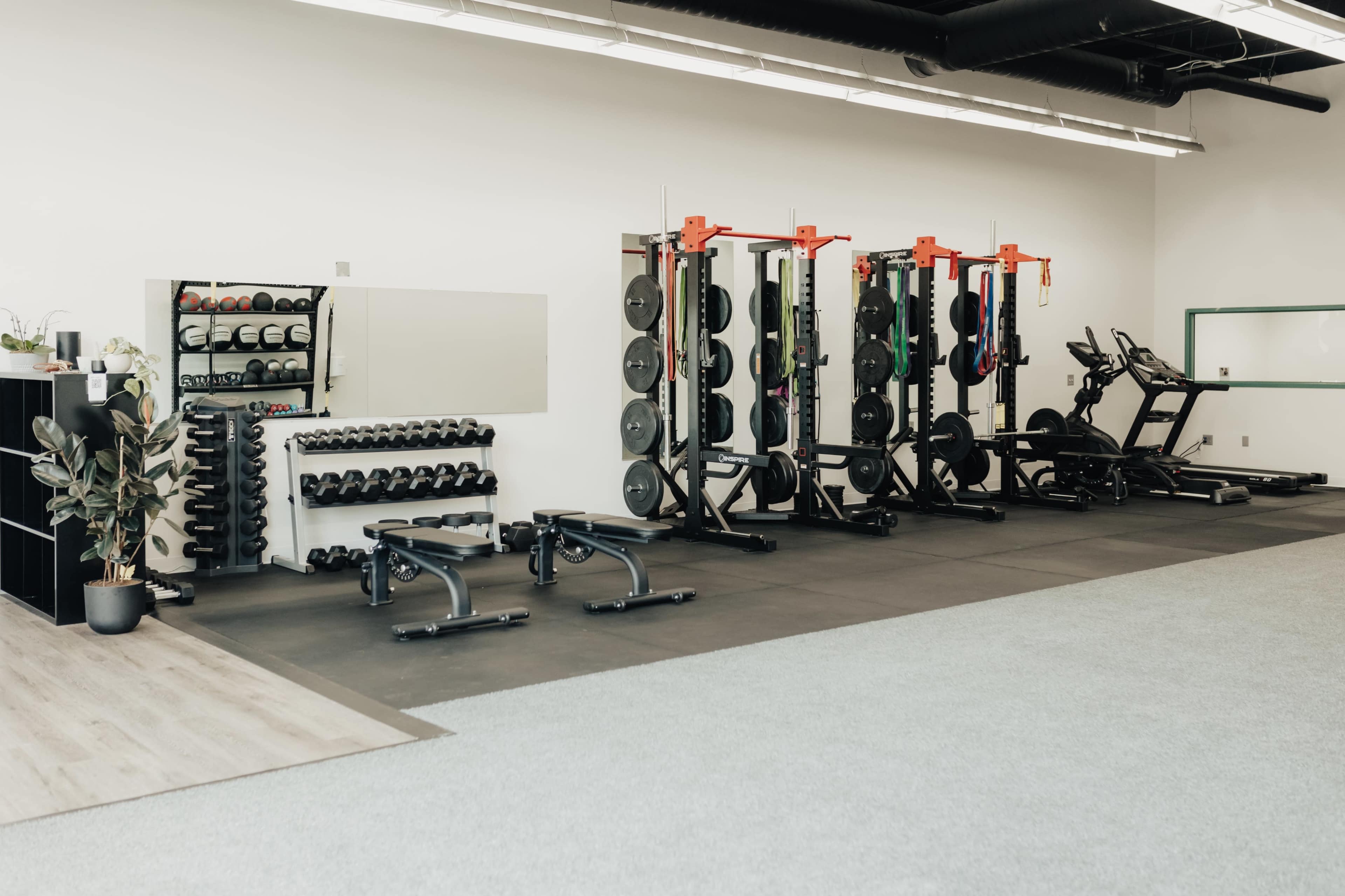 A well-equipped gym interior with weightlifting equipment, dumbbells, and cardio machines arranged neatly against a white wall.