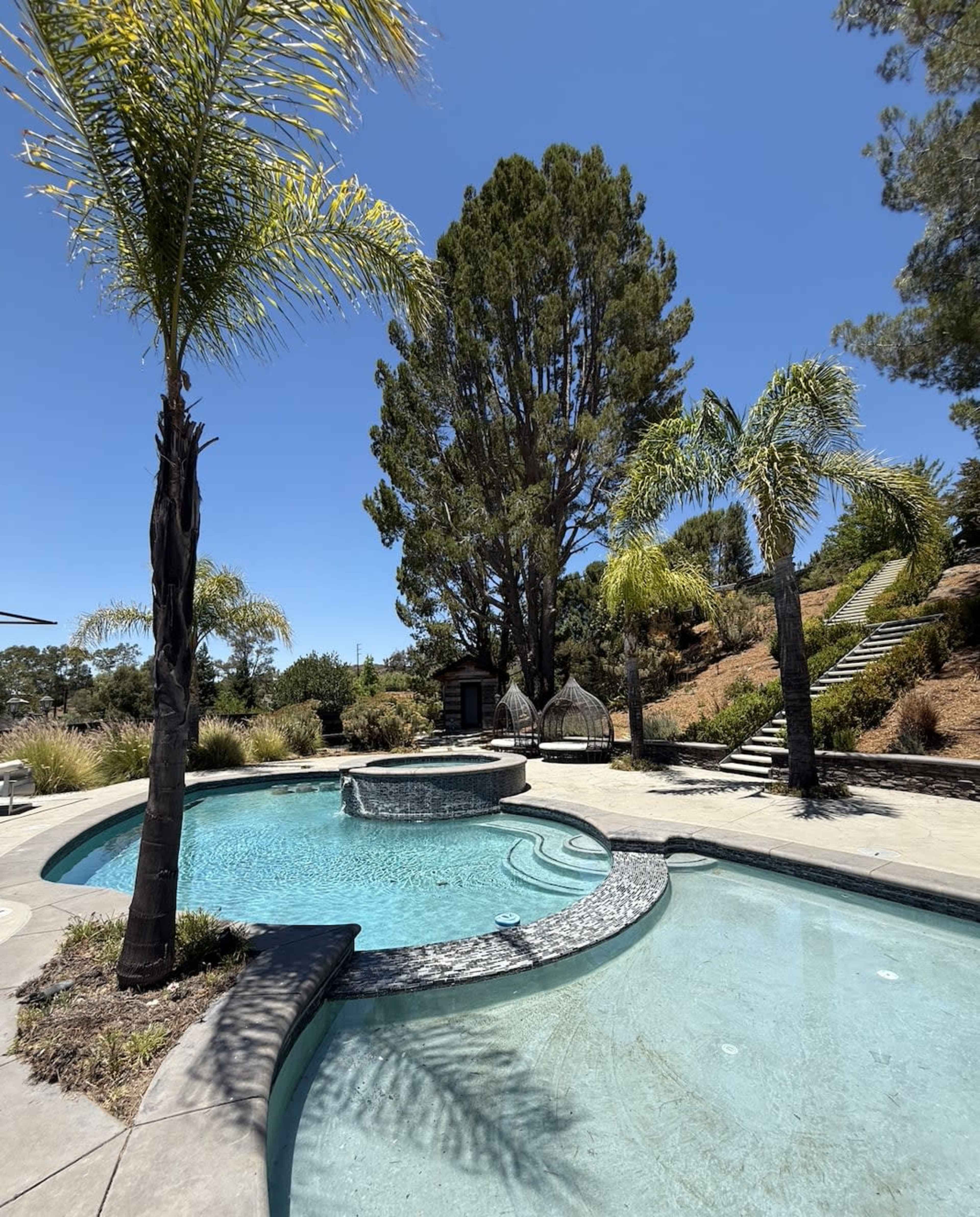 The image shows a swimming pool with a spa surrounded by palm trees and a hillside featuring a staircase and greenery.