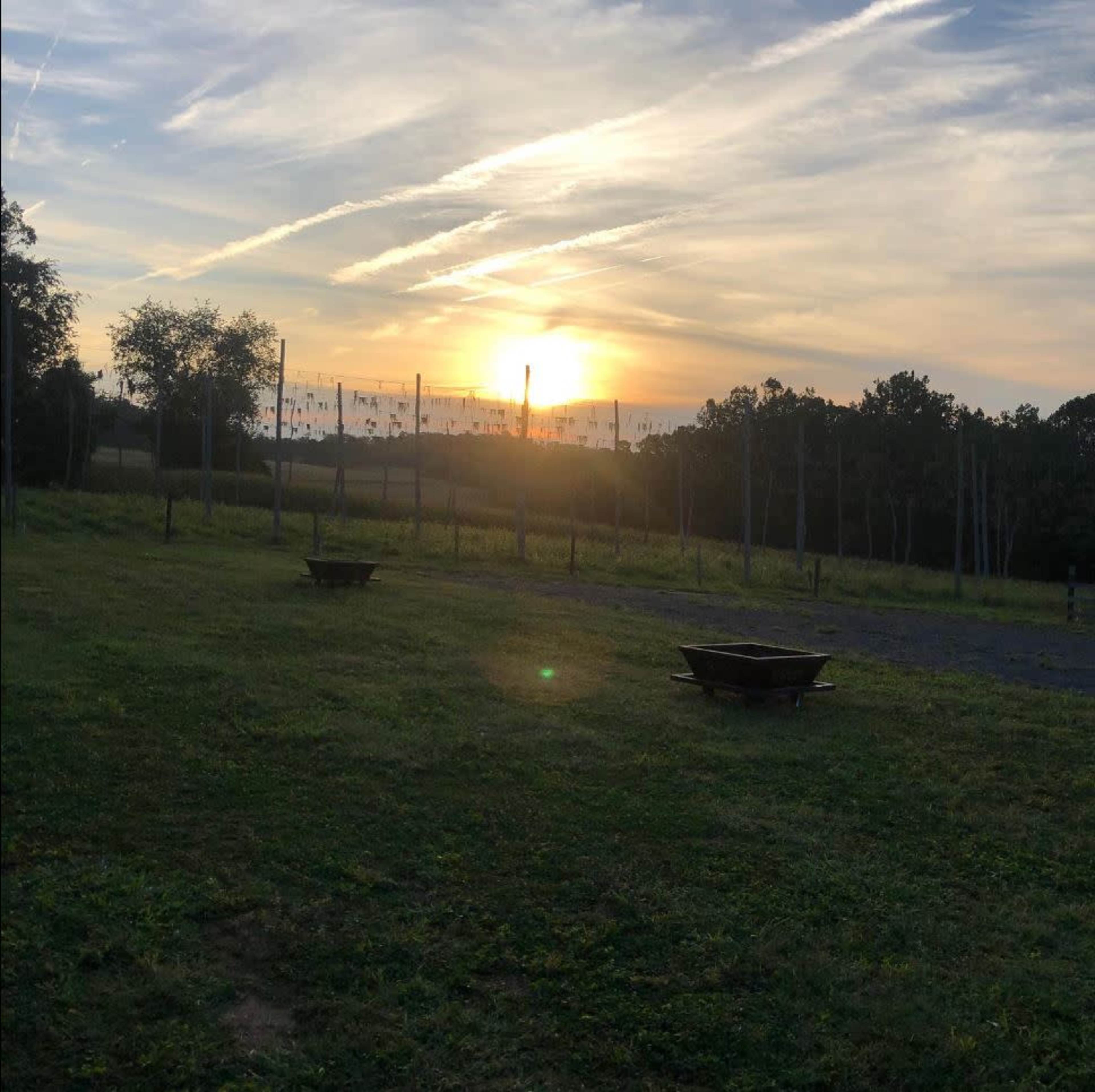 The image shows a sunset over an open field with scattered fire pits and a backdrop of trees.