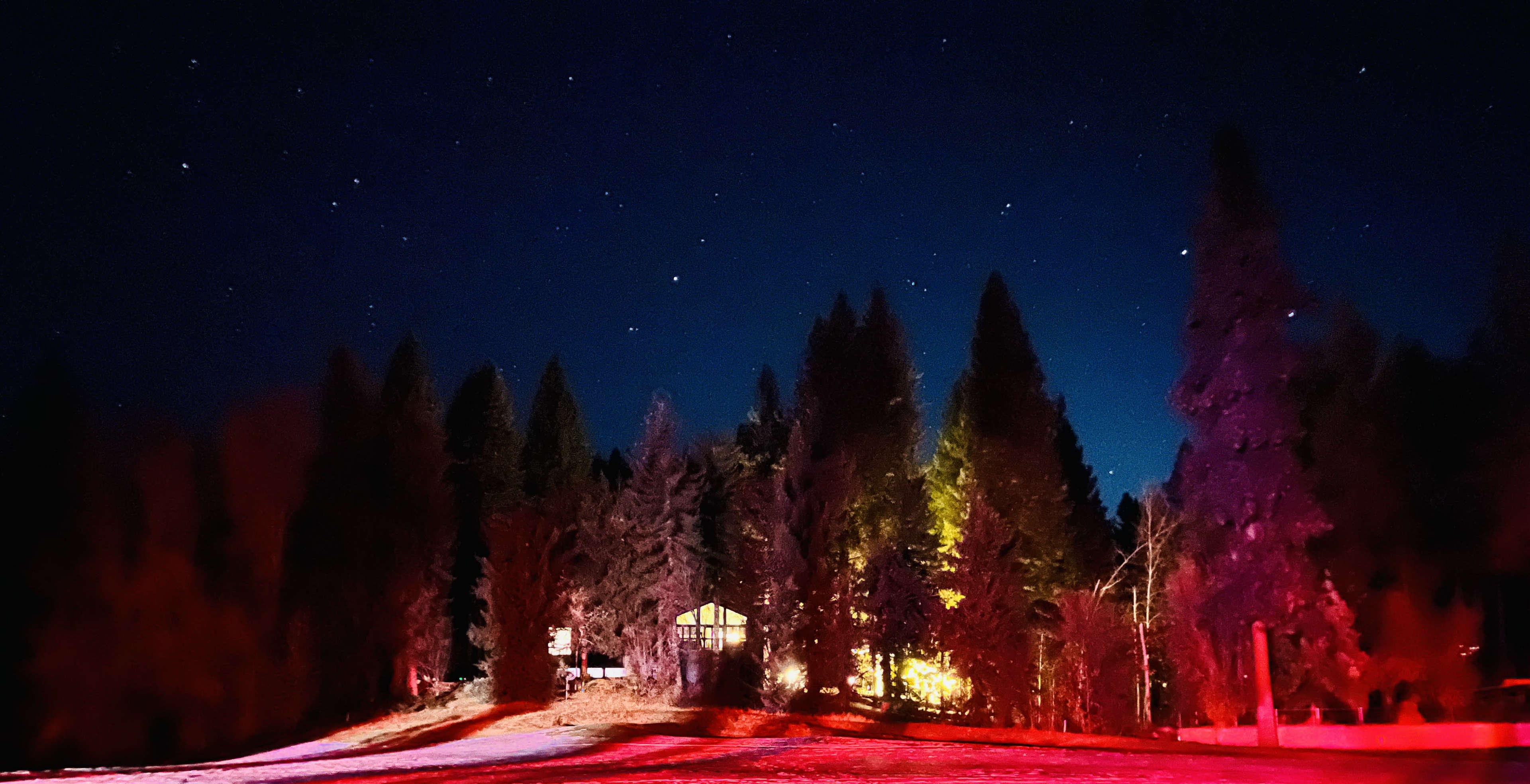 A cabin sits illuminated among tall trees under a starry night sky.