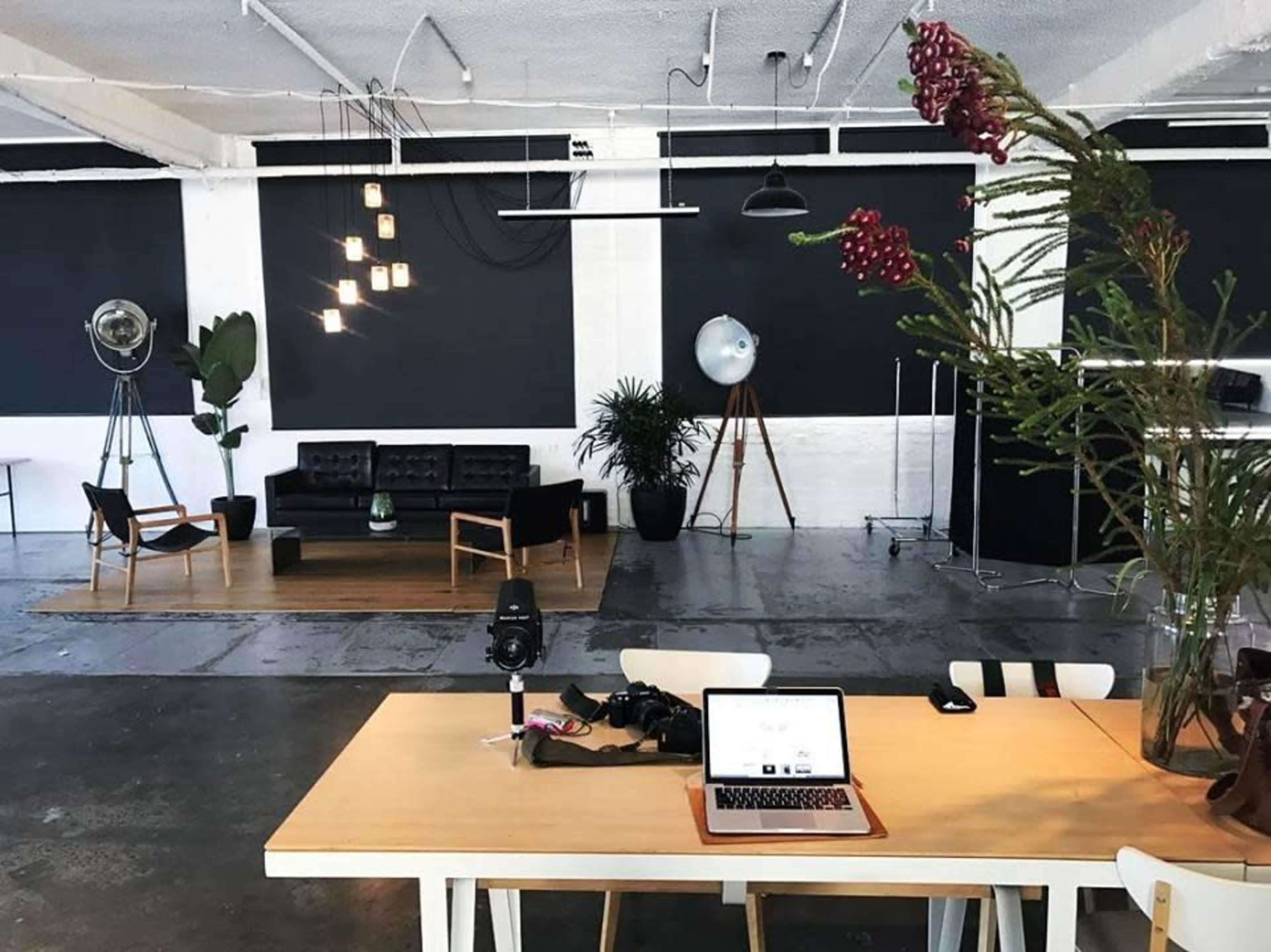 A modern workspace features a wooden table with a laptop, surrounded by various plants and minimalist furniture in a well-lit room.