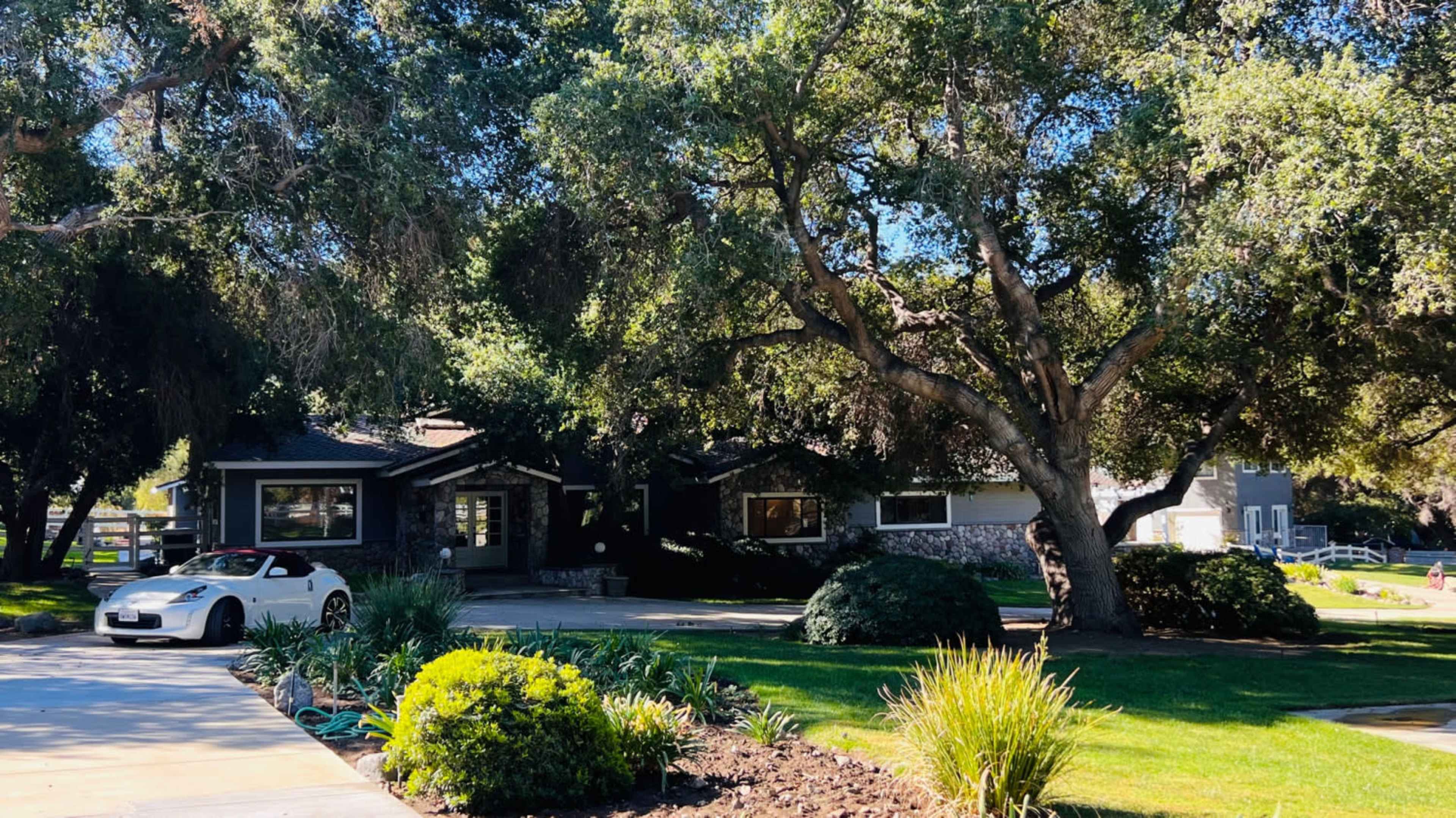 A modern house with a stone facade is surrounded by large trees and manicured lawns.