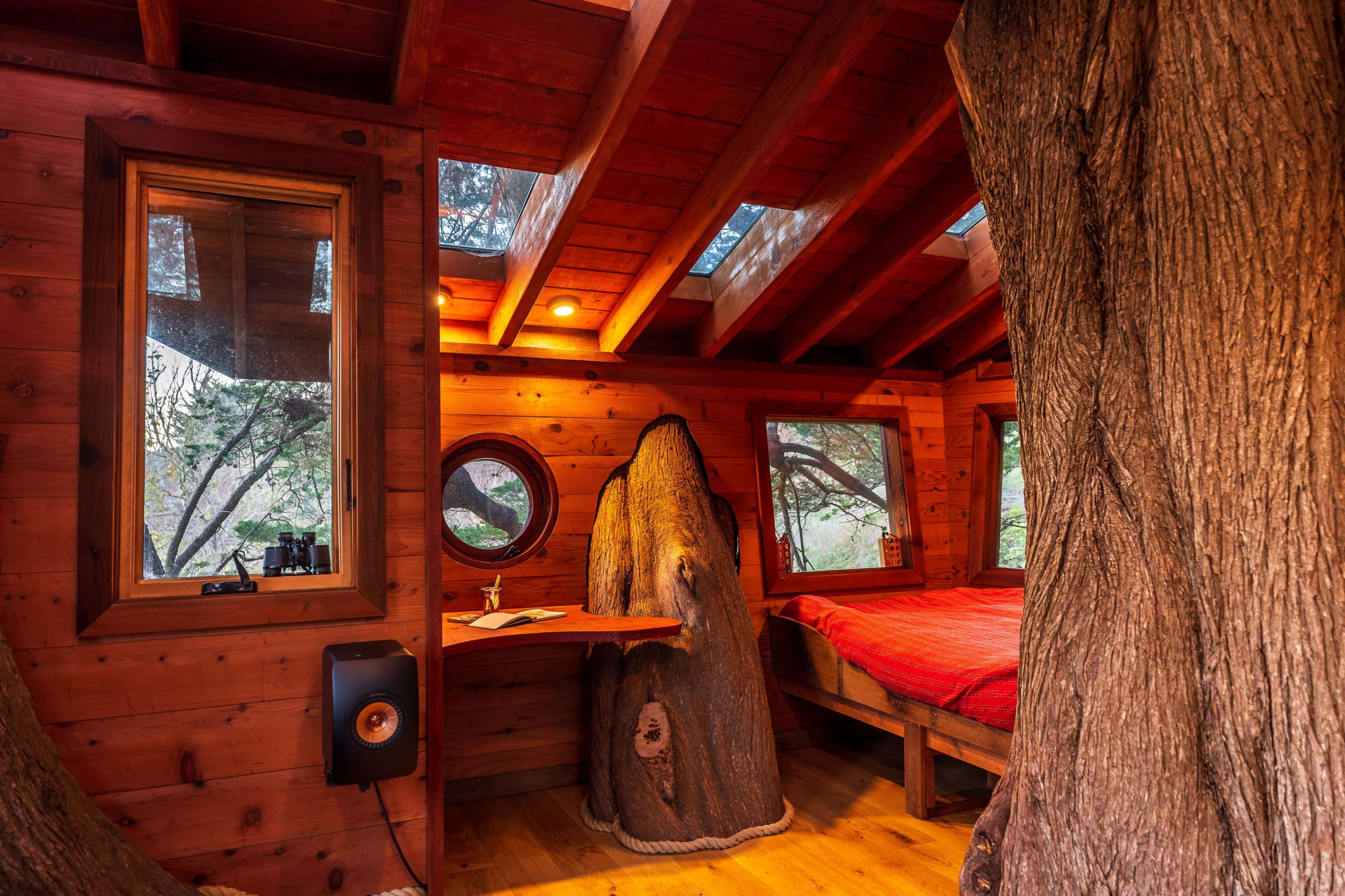 The interior of a wooden treehouse features large windows, a bed, and a rustic table beside a tree trunk.