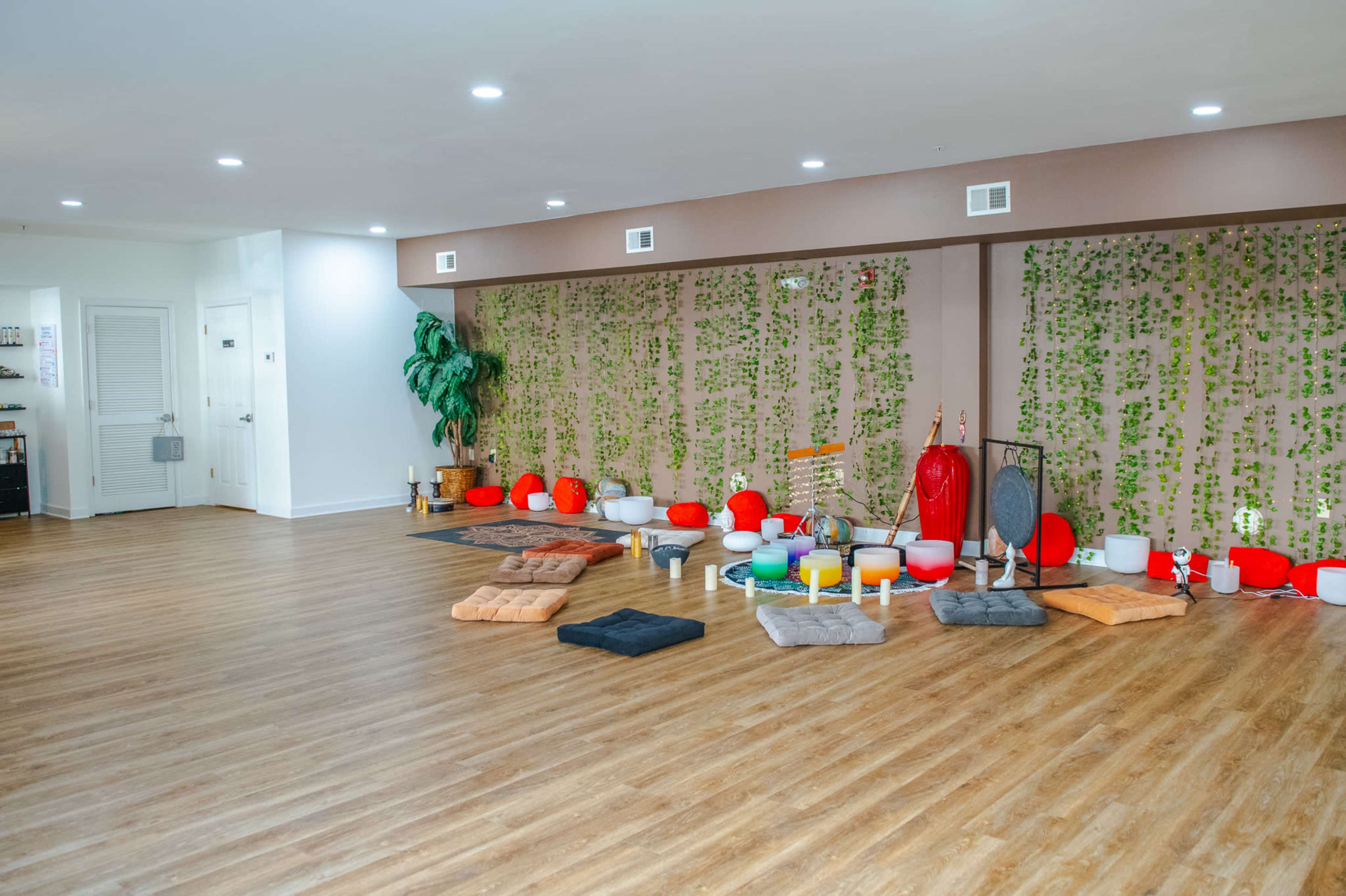 Balance and Bliss Studio: A Sanctuary   for Wellness Image in Downtown, Norfolk, VA