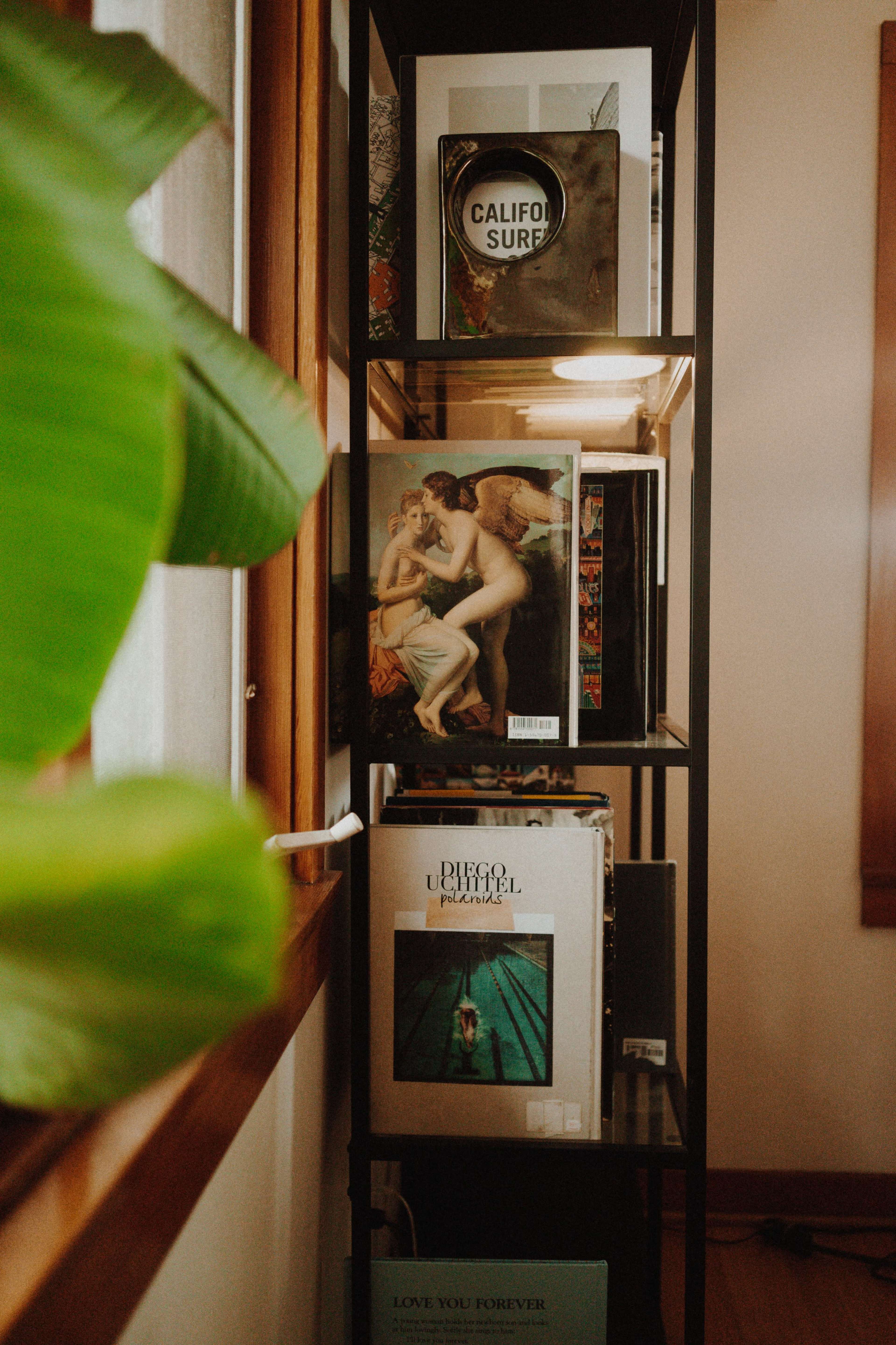 A black metal shelf holds various books and art prints, including a romantic painting and a photography book, next to a green plant and window.