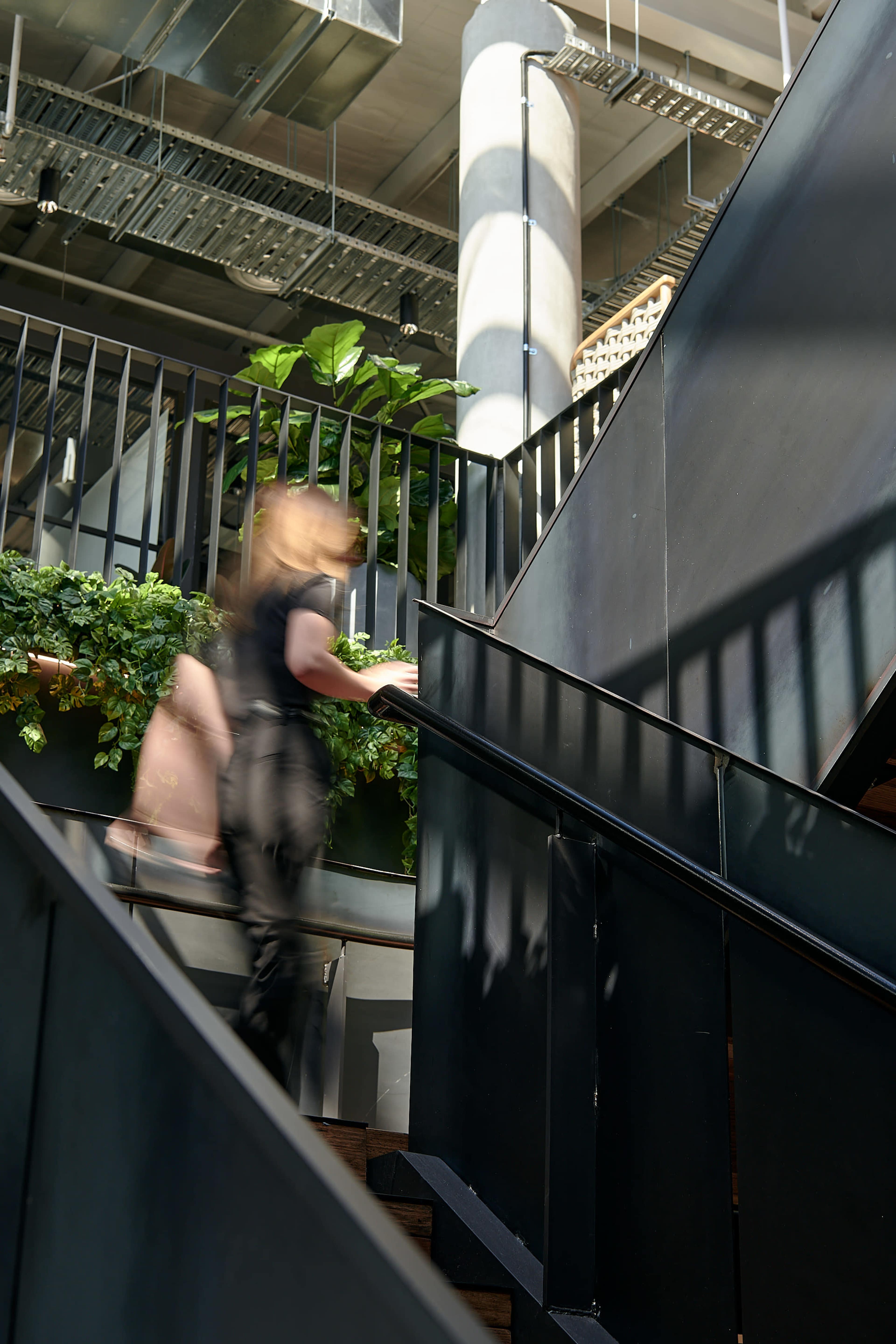 A person ascends a staircase surrounded by greenery in a modern interior space.