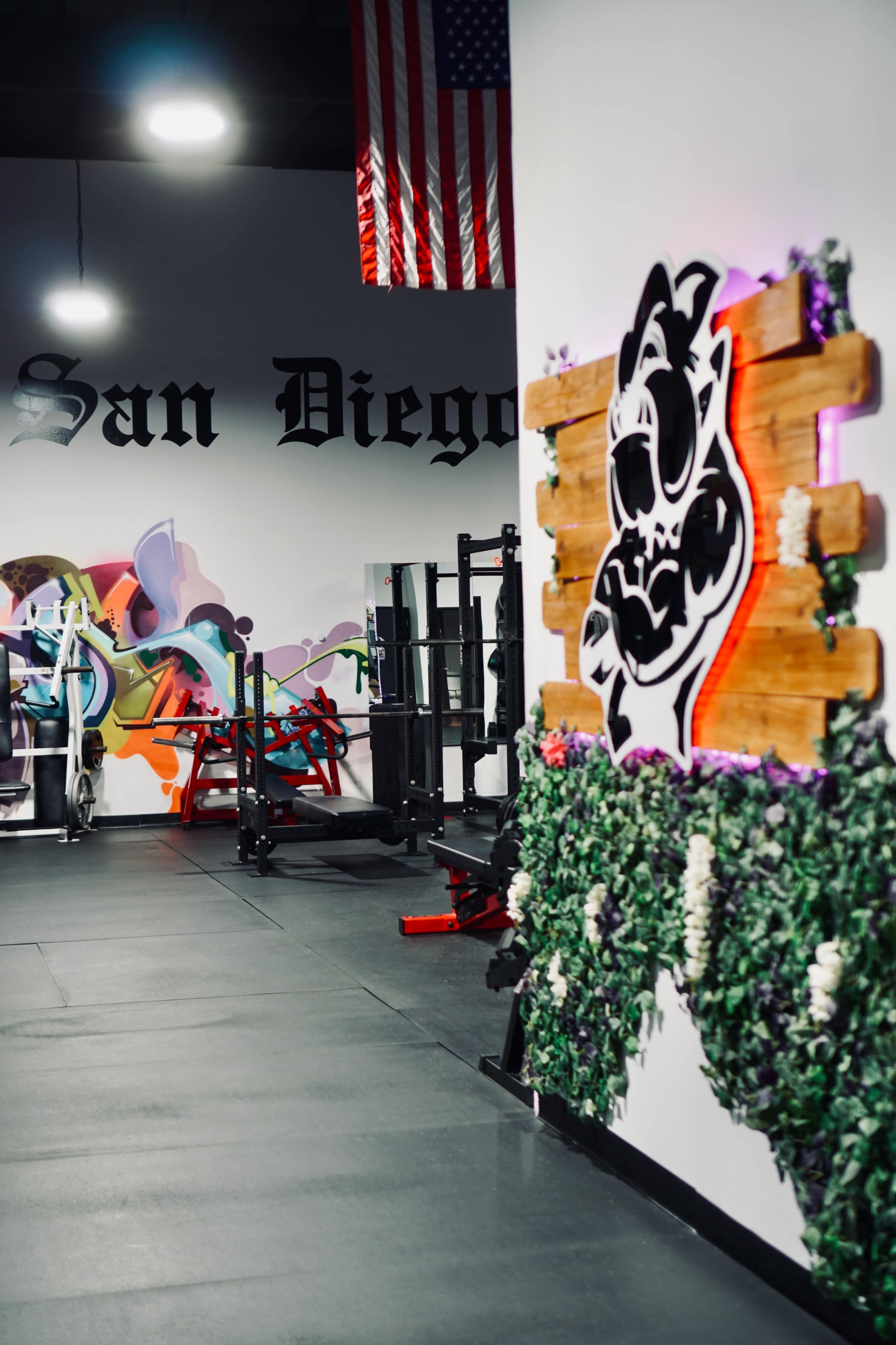 The image shows a gym interior with a wall featuring a mural and a wooden sign, alongside various gym equipment and green foliage decor.