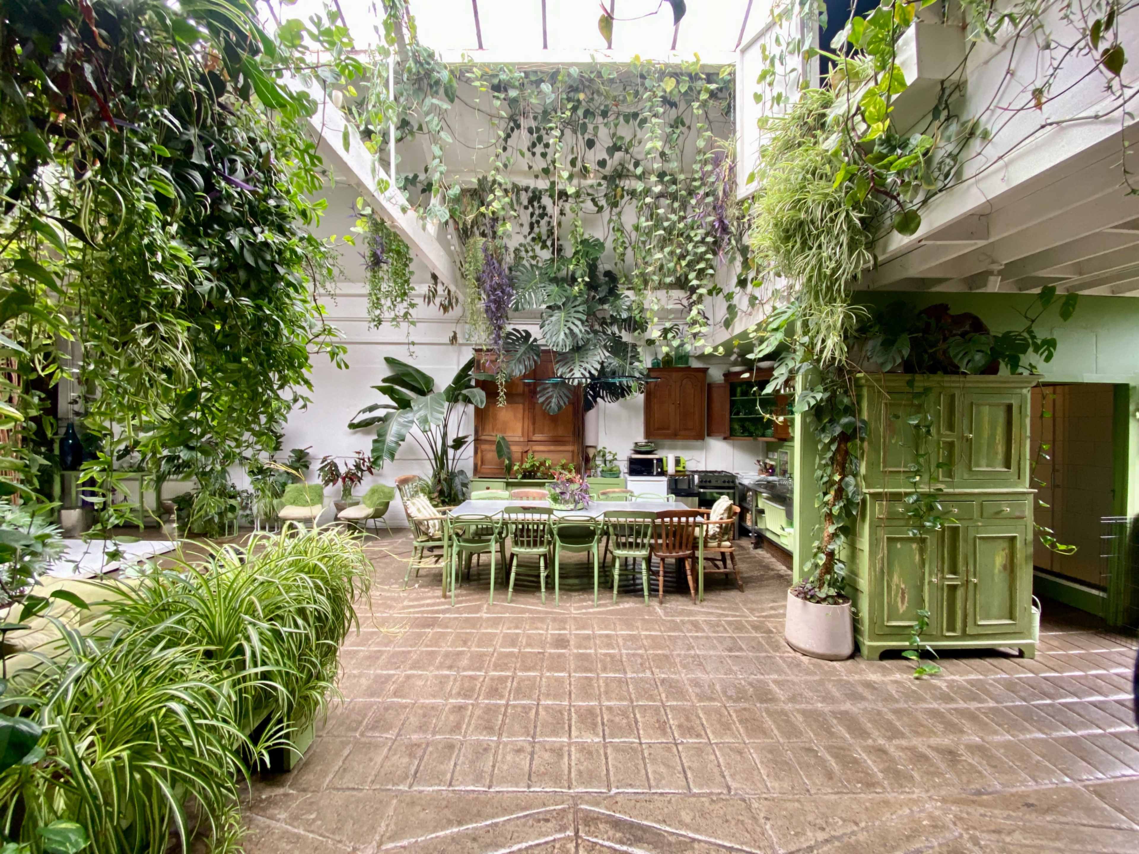 An indoor space filled with various plants, featuring a large dining table surrounded by chairs and a green cabinet.