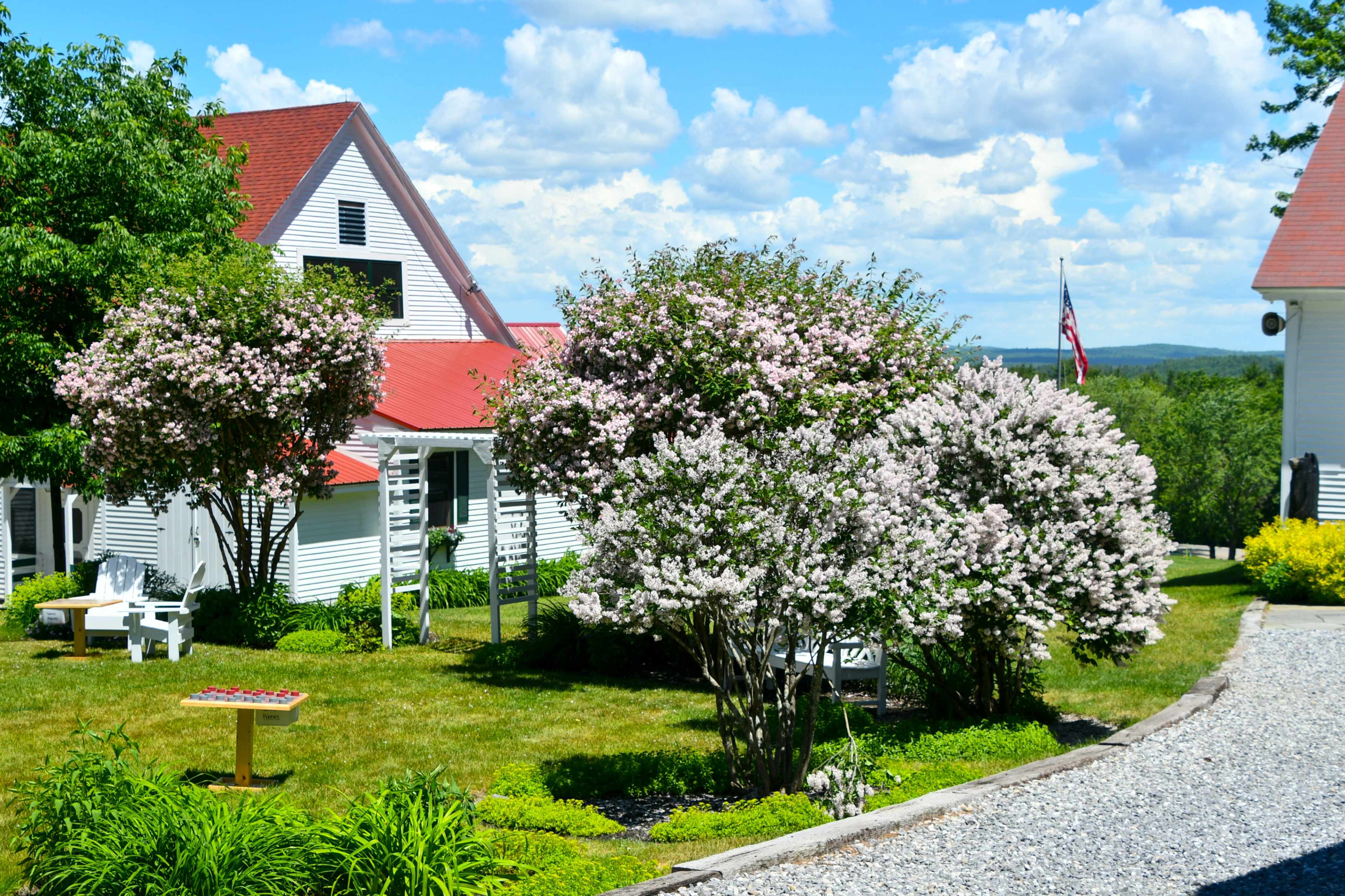 A scenic view of a property featuring blooming trees, a gravel driveway, and a flag displayed against a backdrop of blue skies and clouds.
