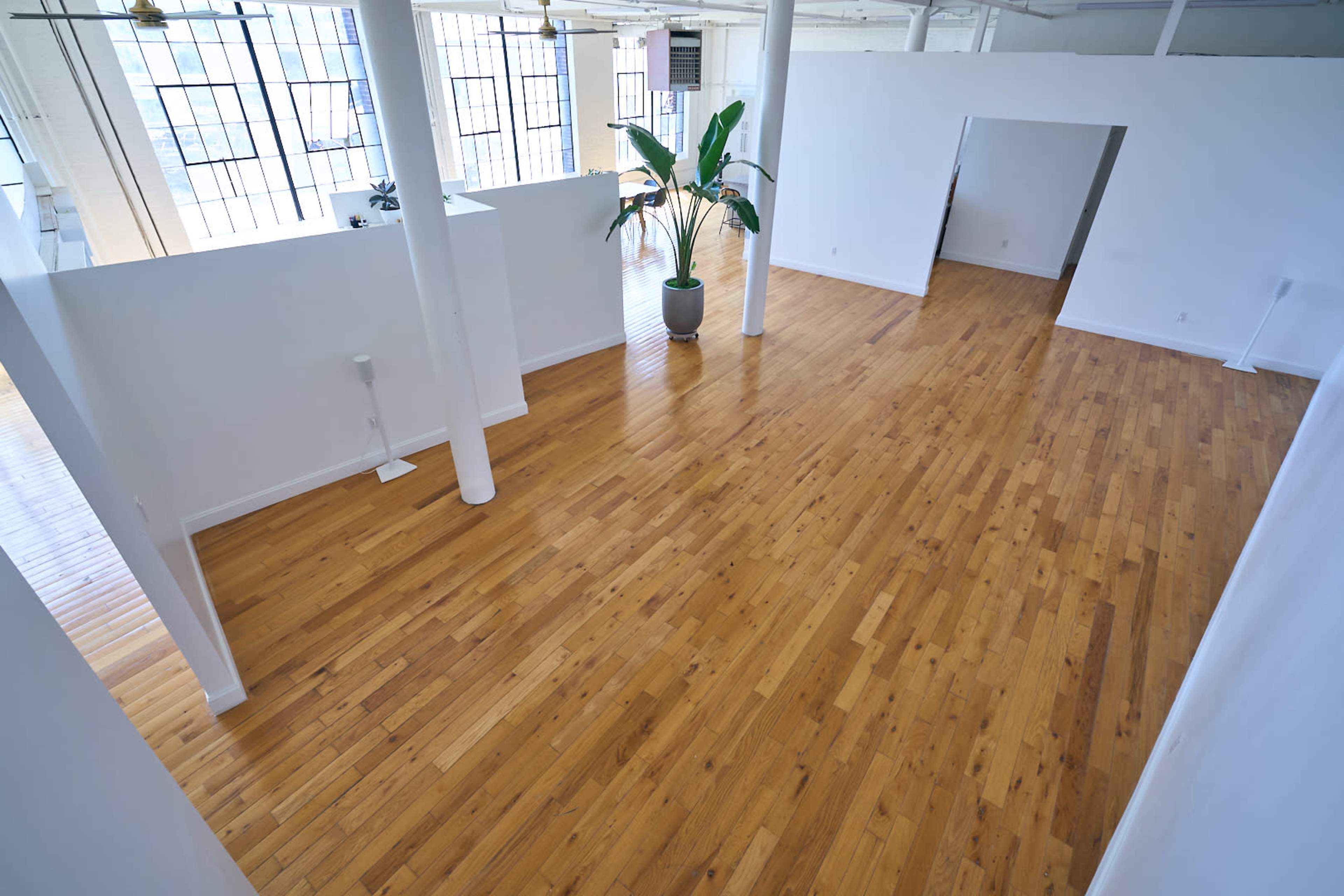 The image shows a spacious, empty room with polished wooden floors, large windows, and a potted plant in one corner.