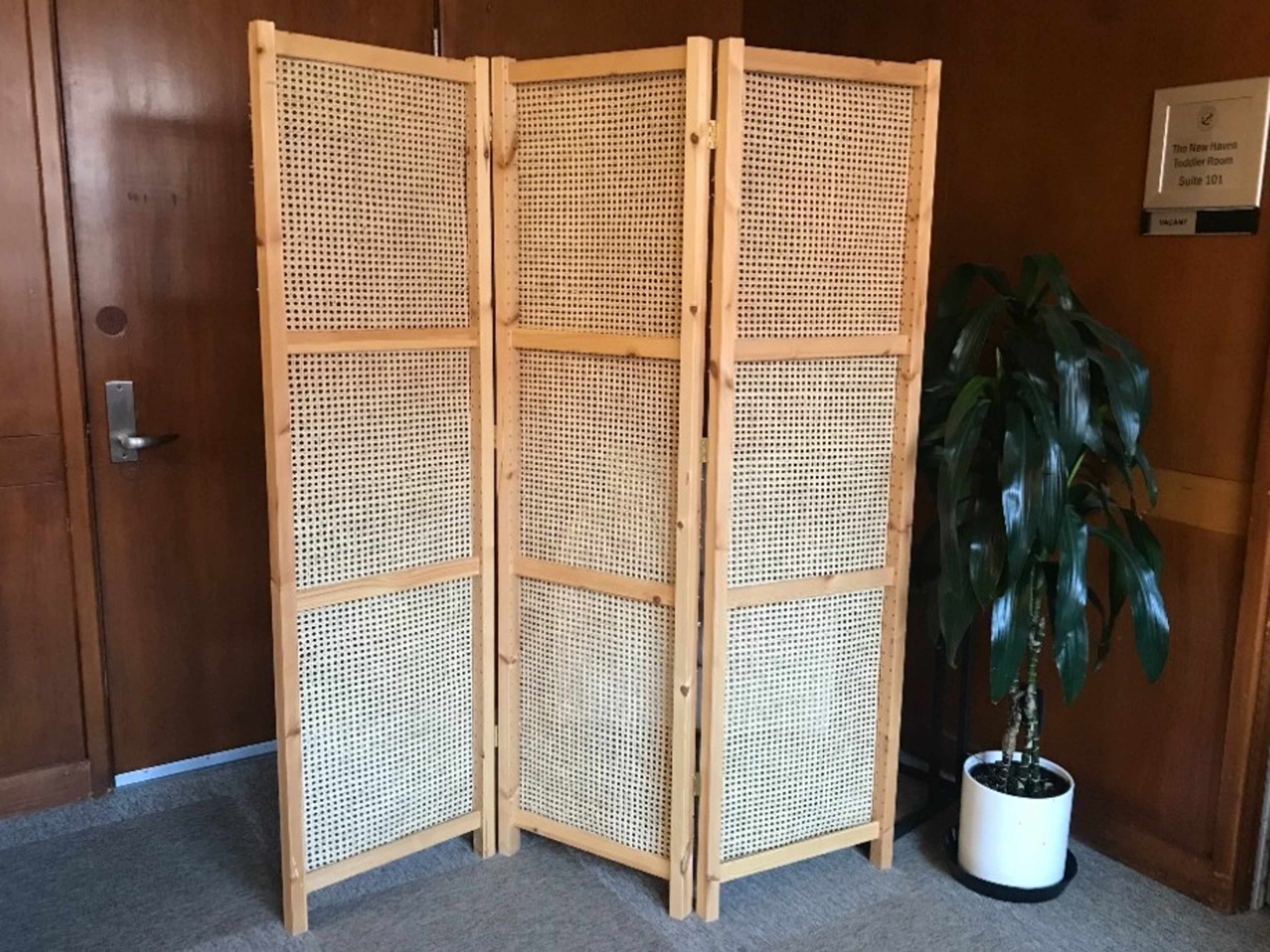 Backdrop for Photos or party display