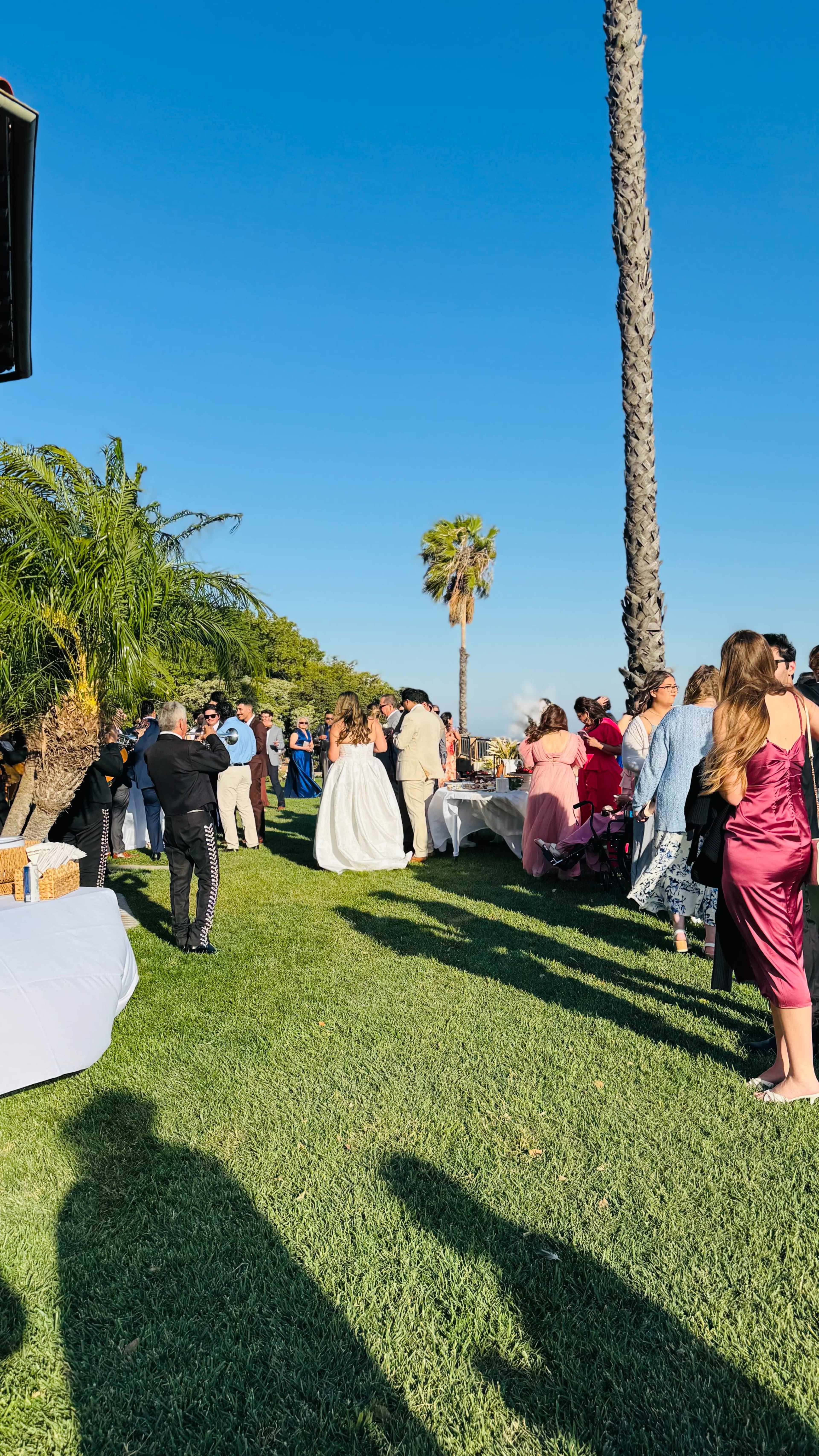 A group of guests is gathered outdoors in a sunny setting, with a wedding ceremony taking place near palm trees and decorated tables.