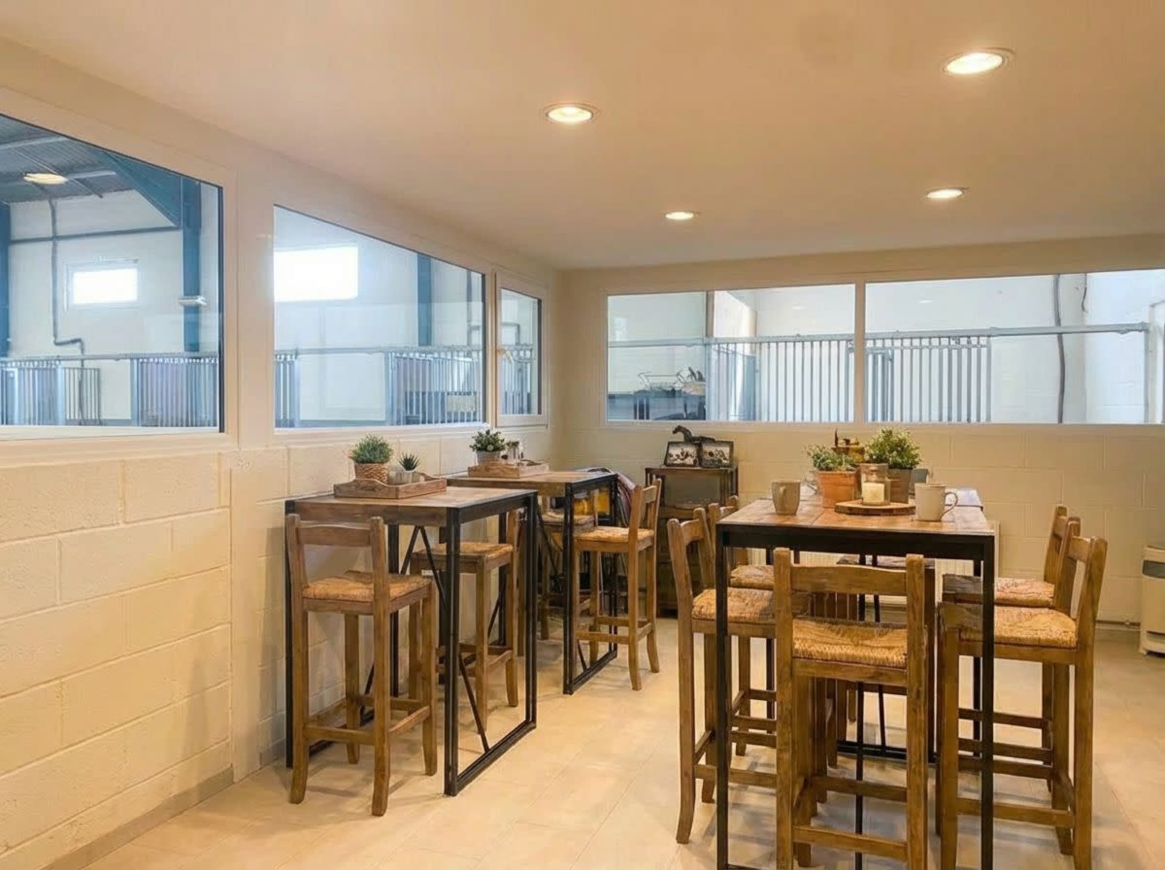 The image shows a bright, modern dining area with wooden tables and chairs, featuring potted plants on the tables and large windows letting in natural light.